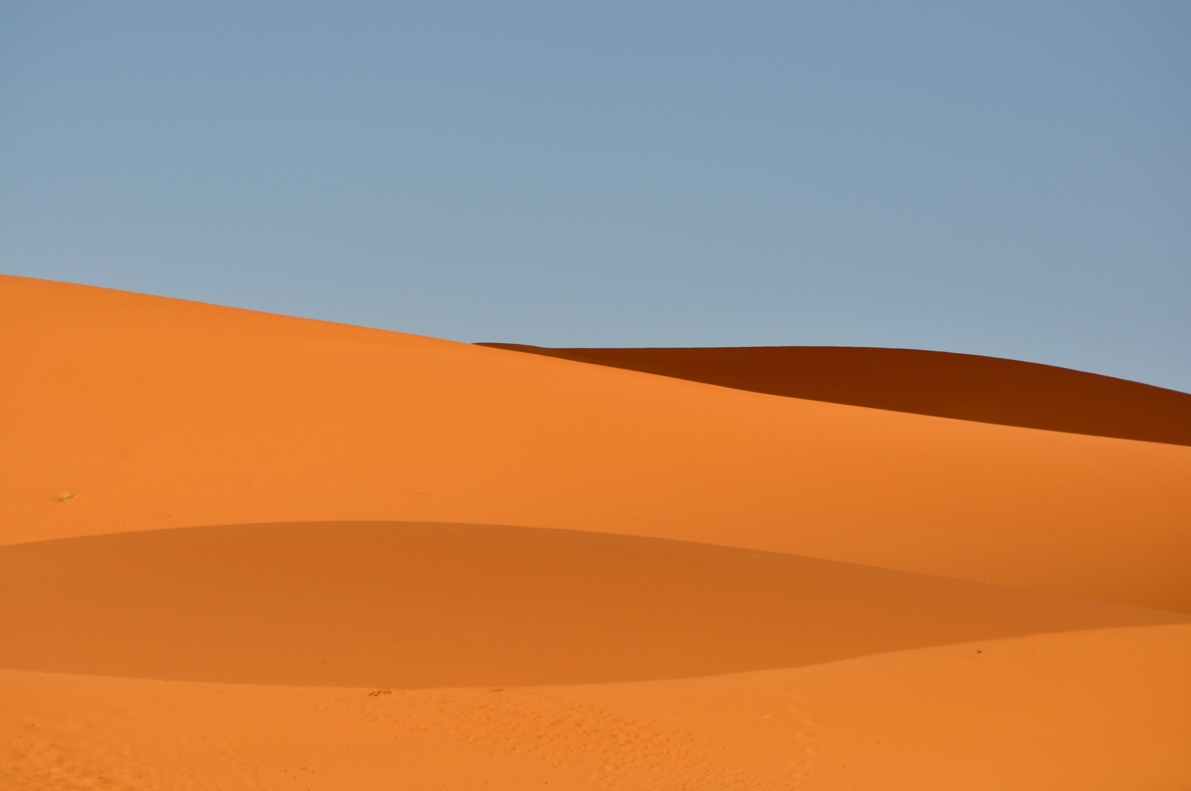 Sahara