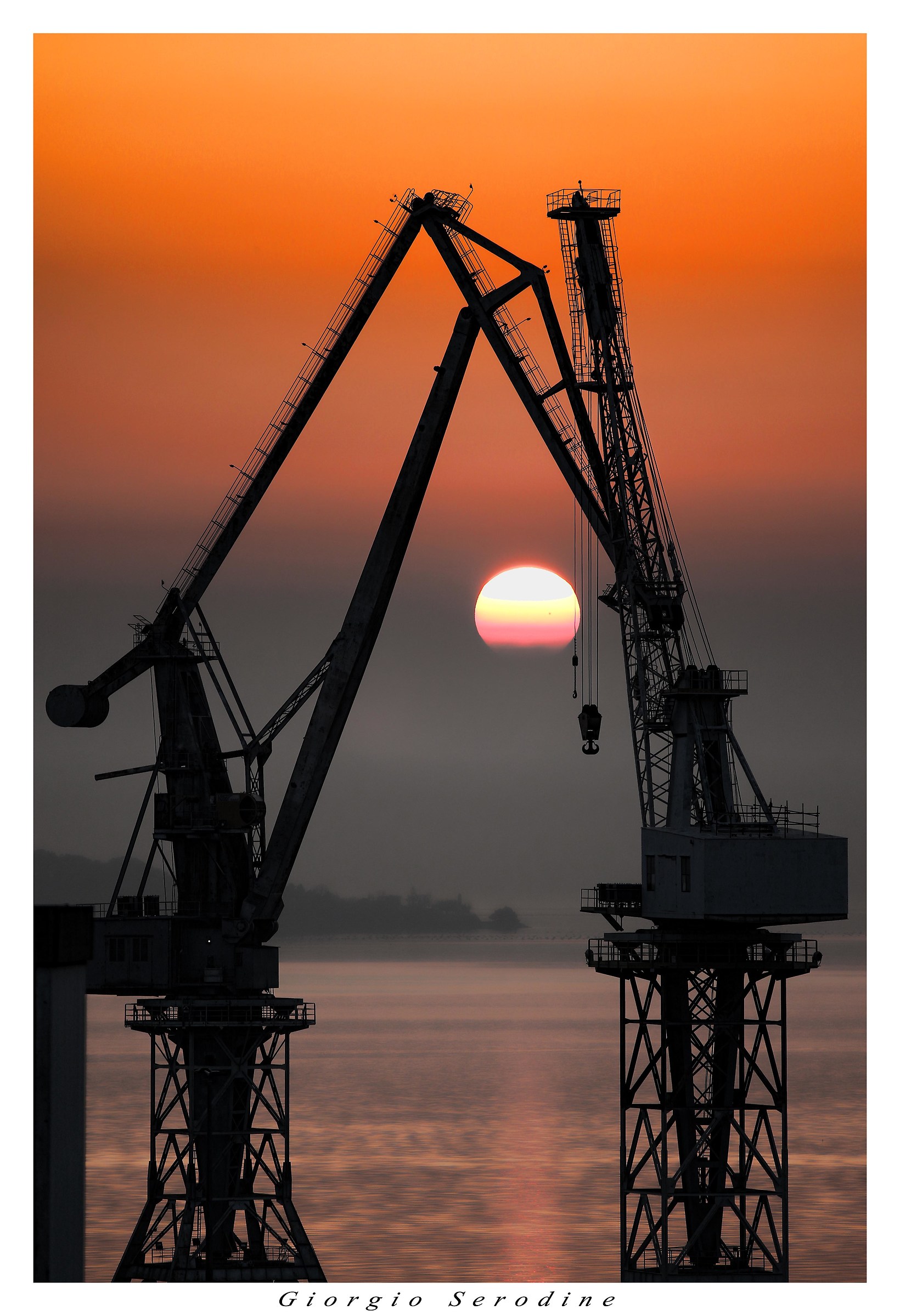Cranes at Sunset