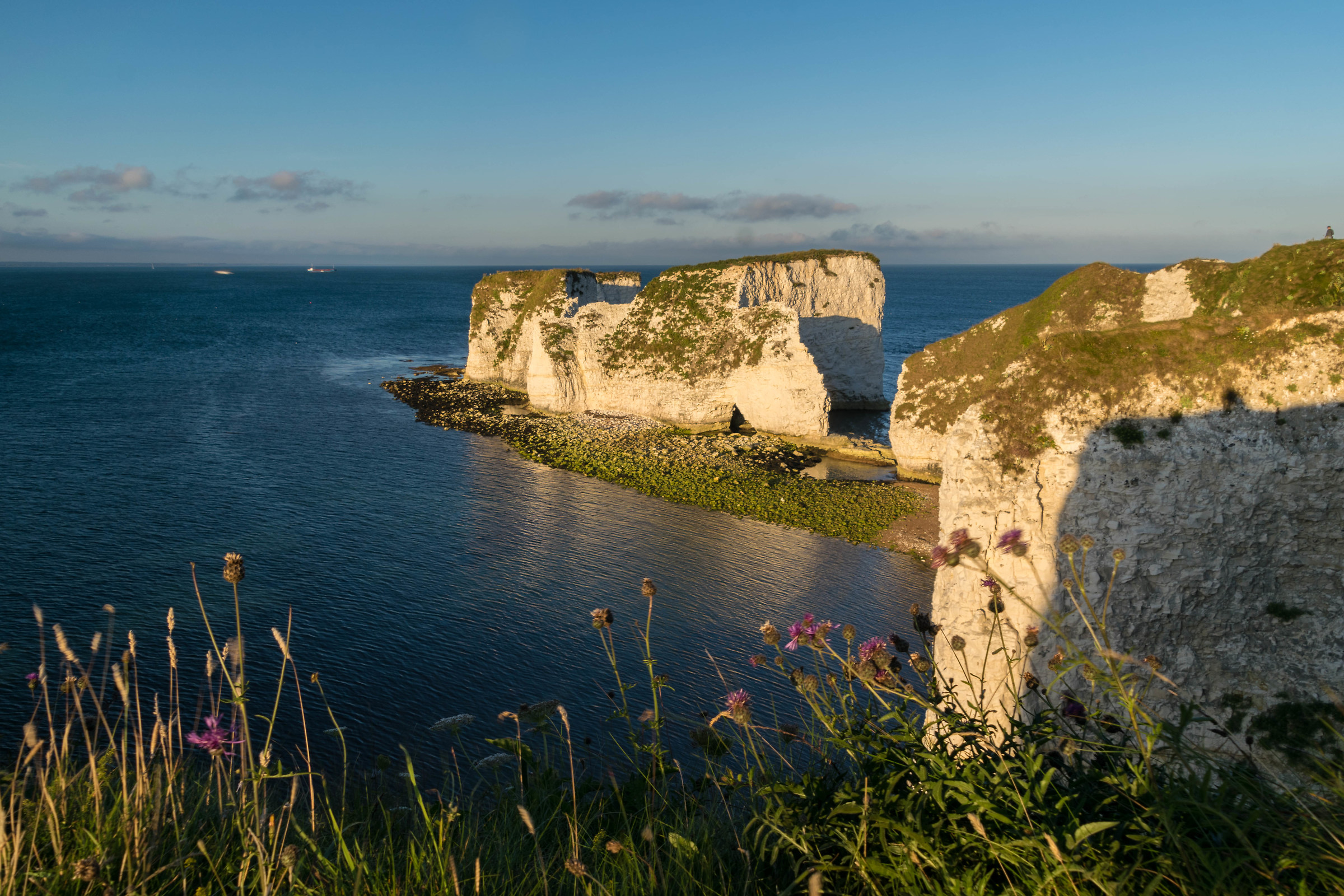 Old Harry Rocks nella luce della sera,