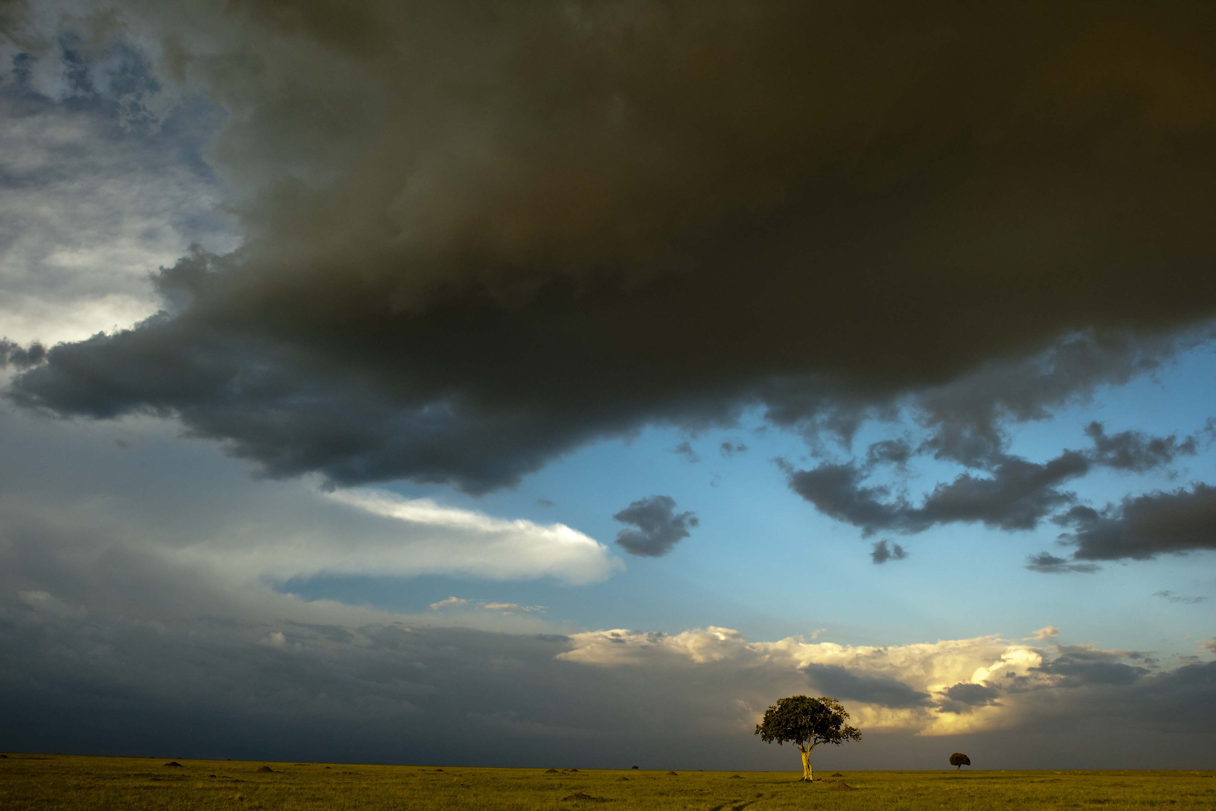 Da qualche parte nel Masai Mara