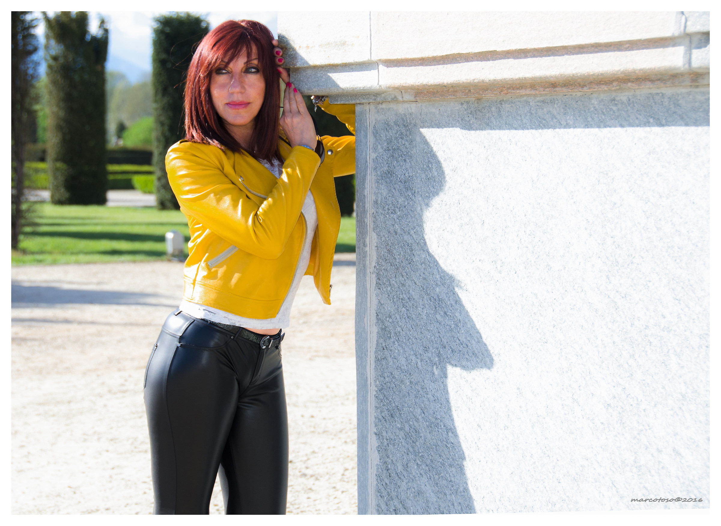 Aden - Reggia di Venaria