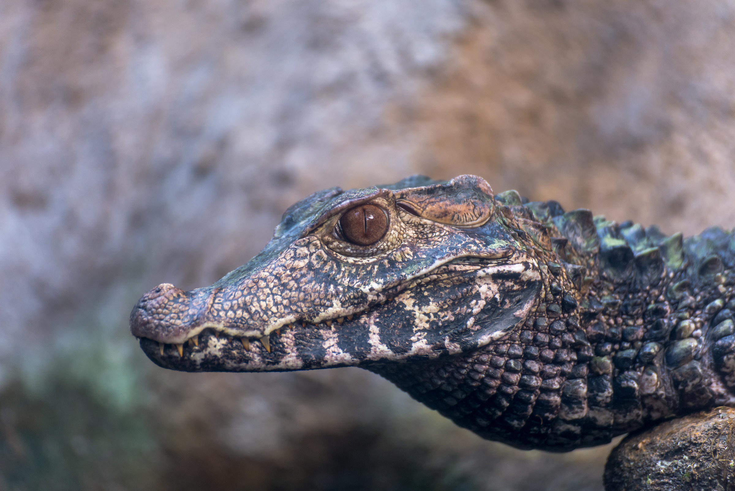 We keep our distance