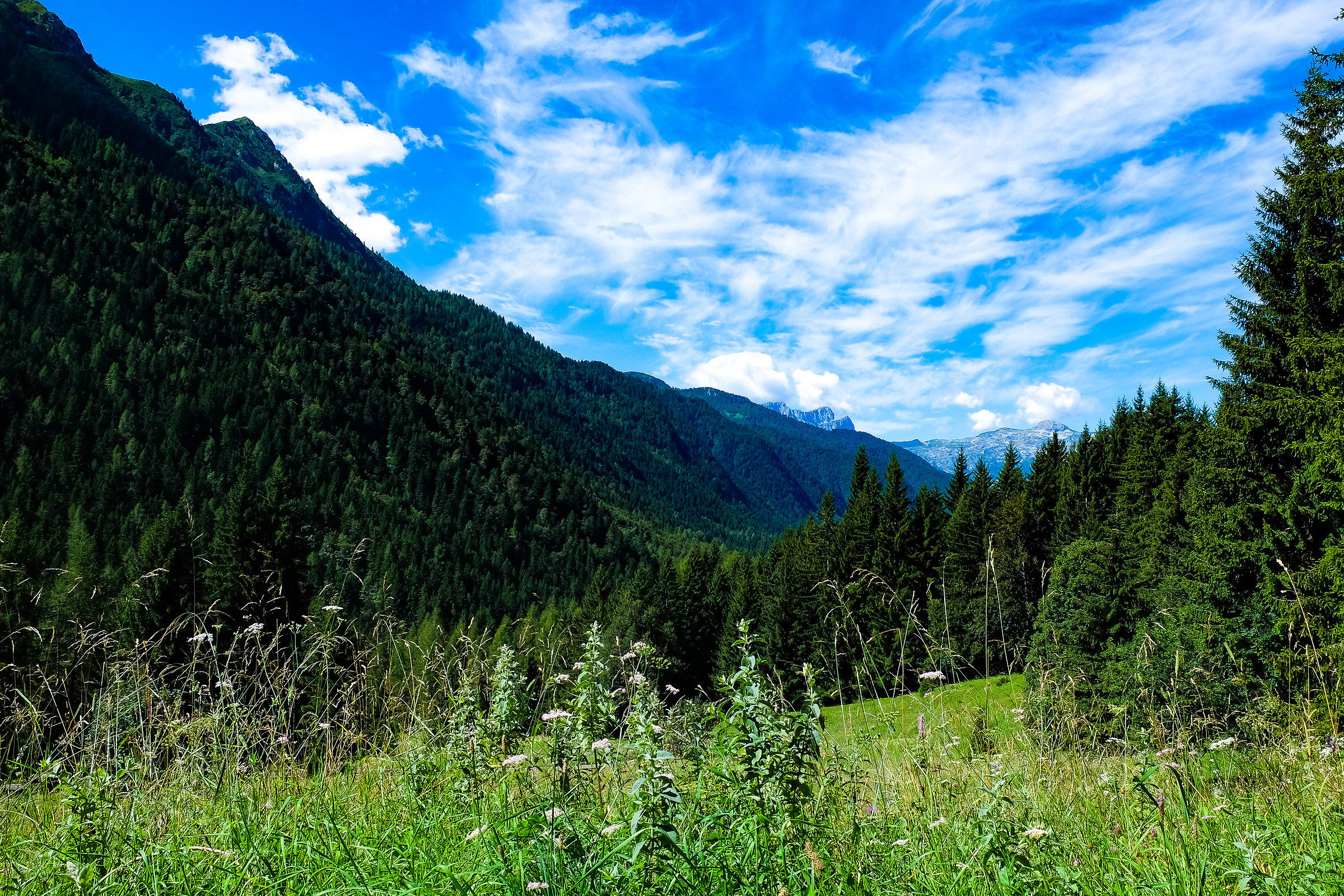 val of scalve (bg) in August