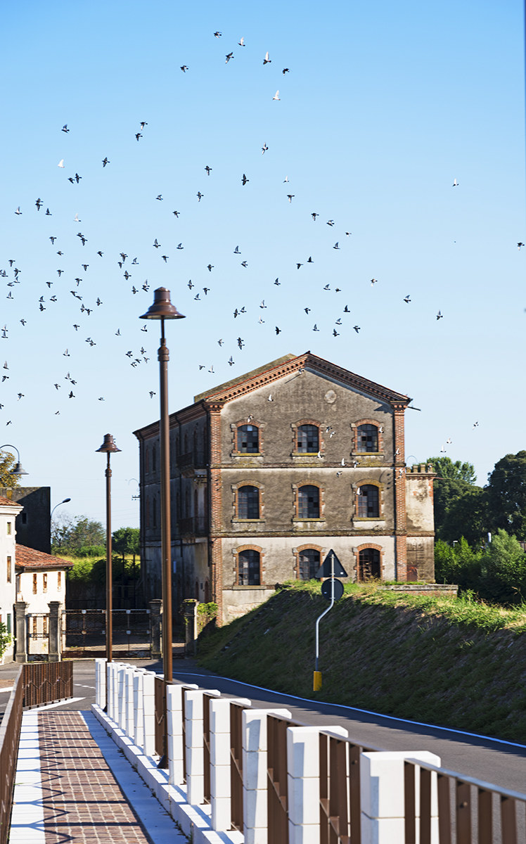 Step on the old mill