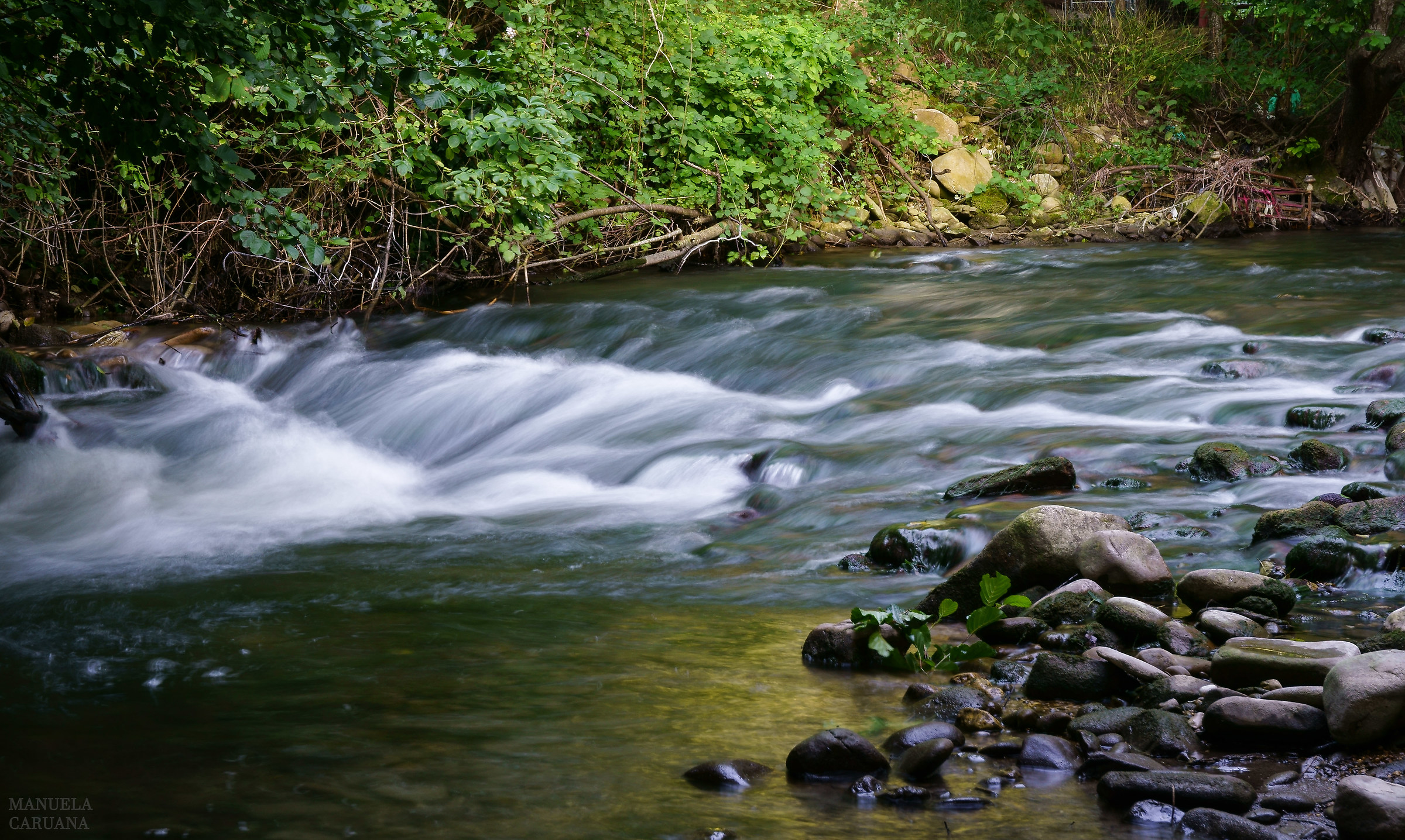 River which flows Grisciano