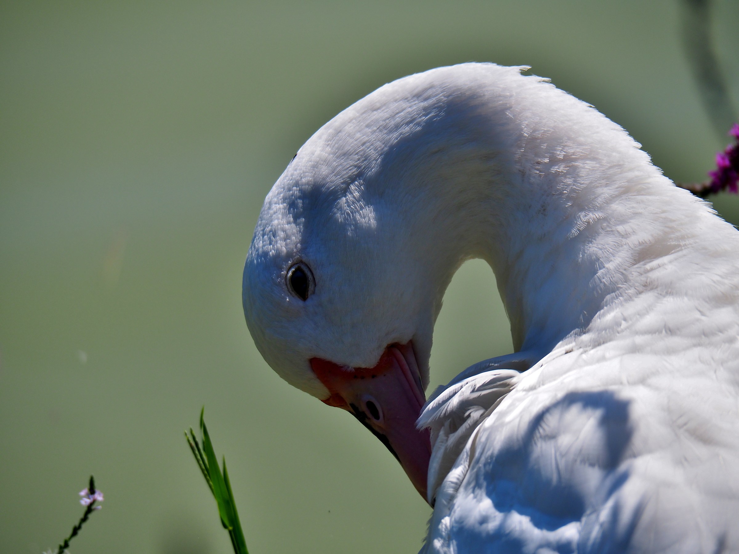 cleaning in progress