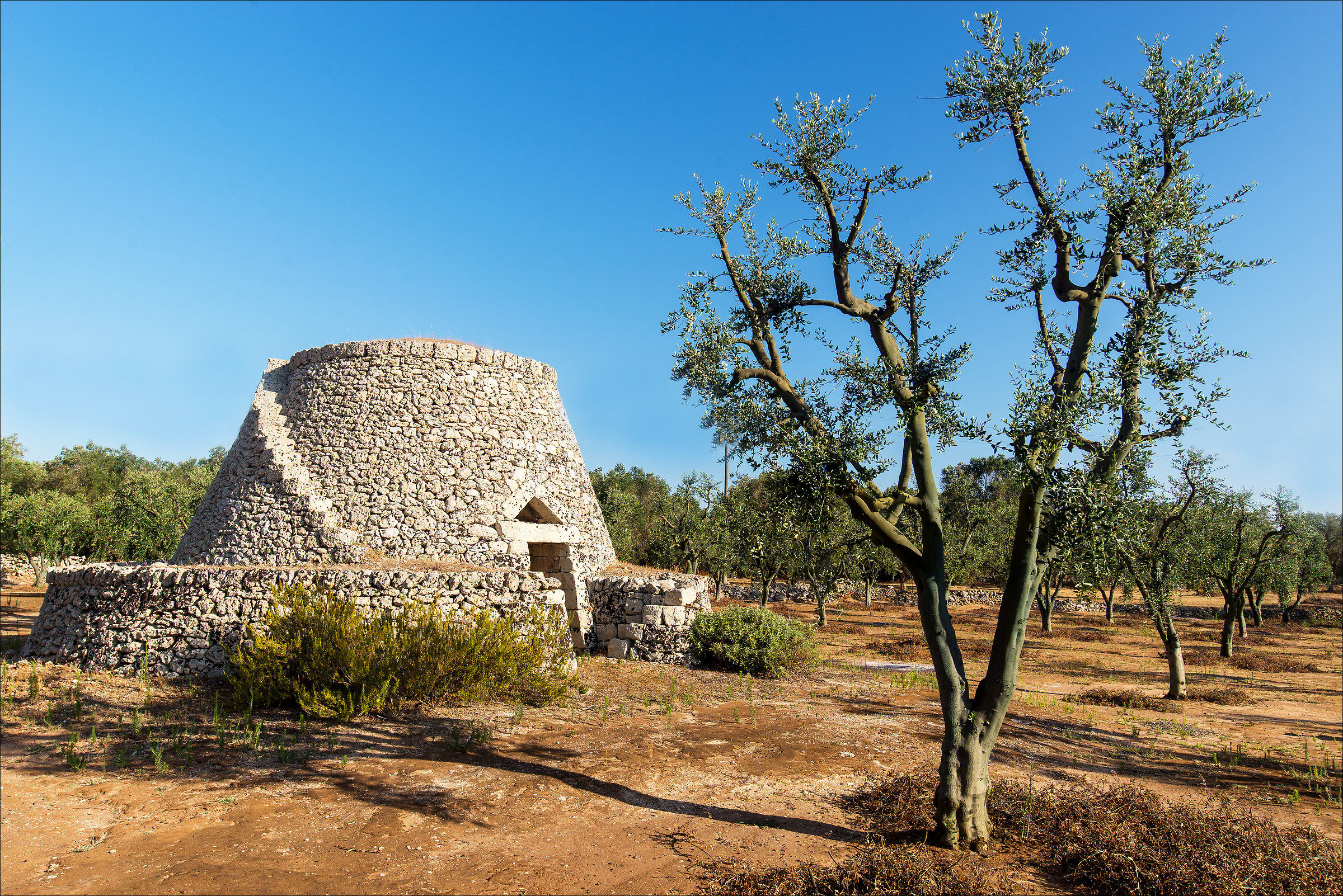 Il trullo