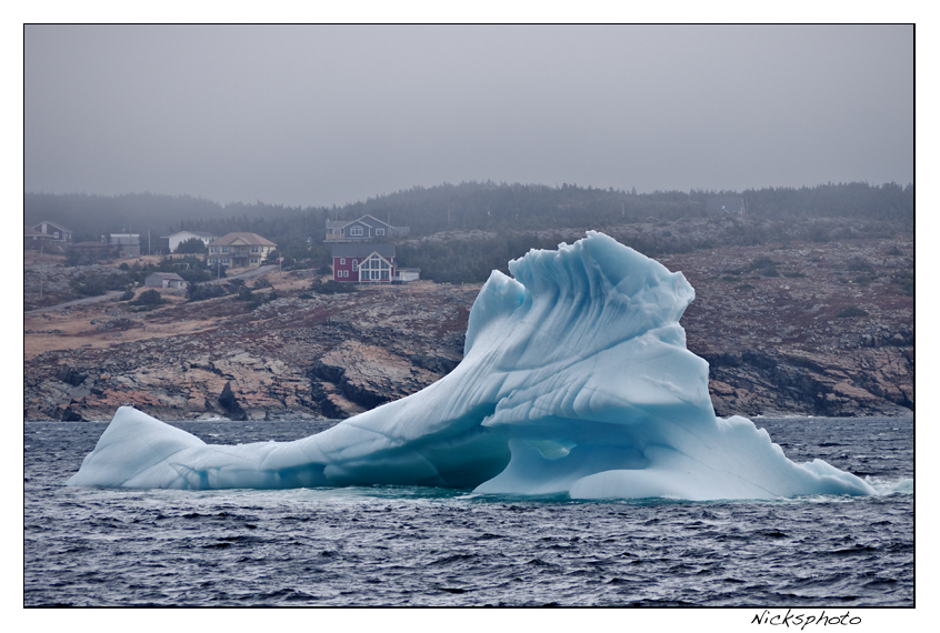 Iceberg