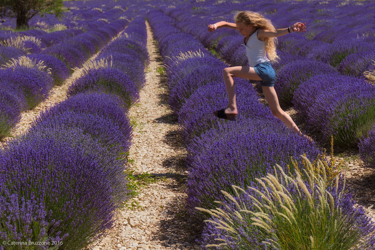 Valensole Games ; salto della lavanda