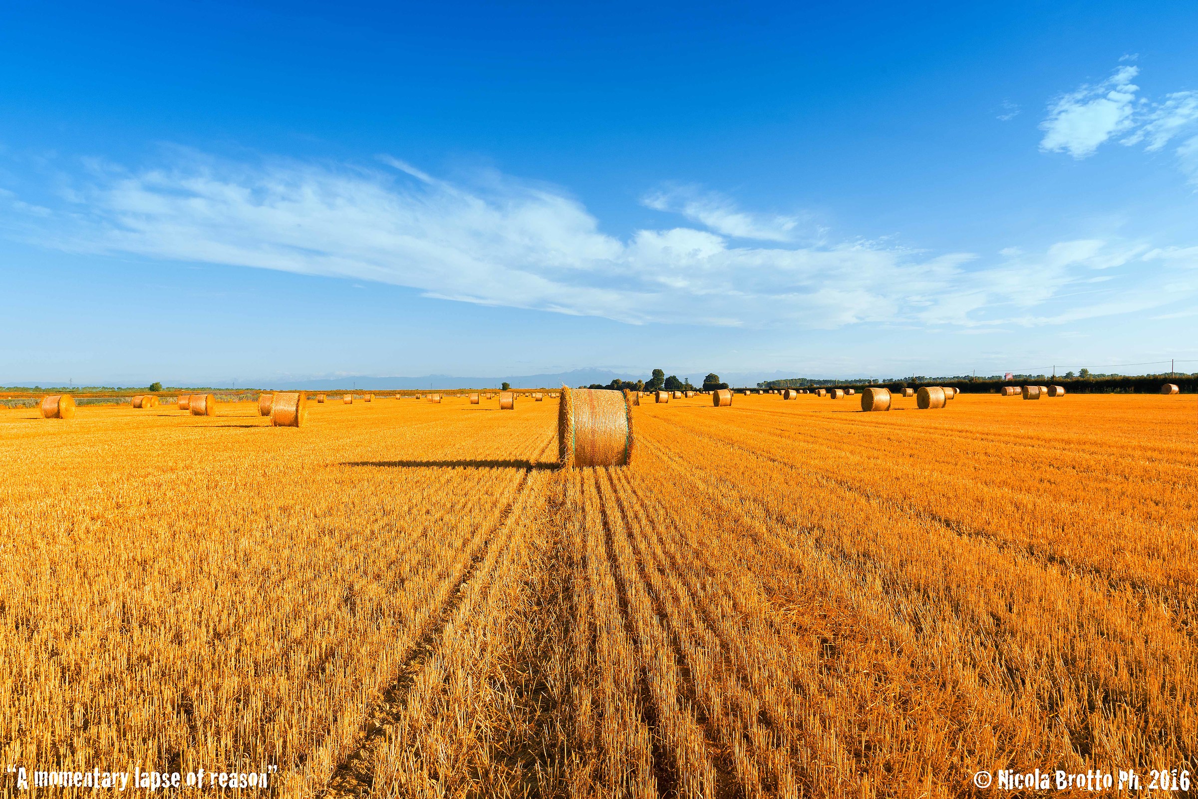 A momentary lapse of reason