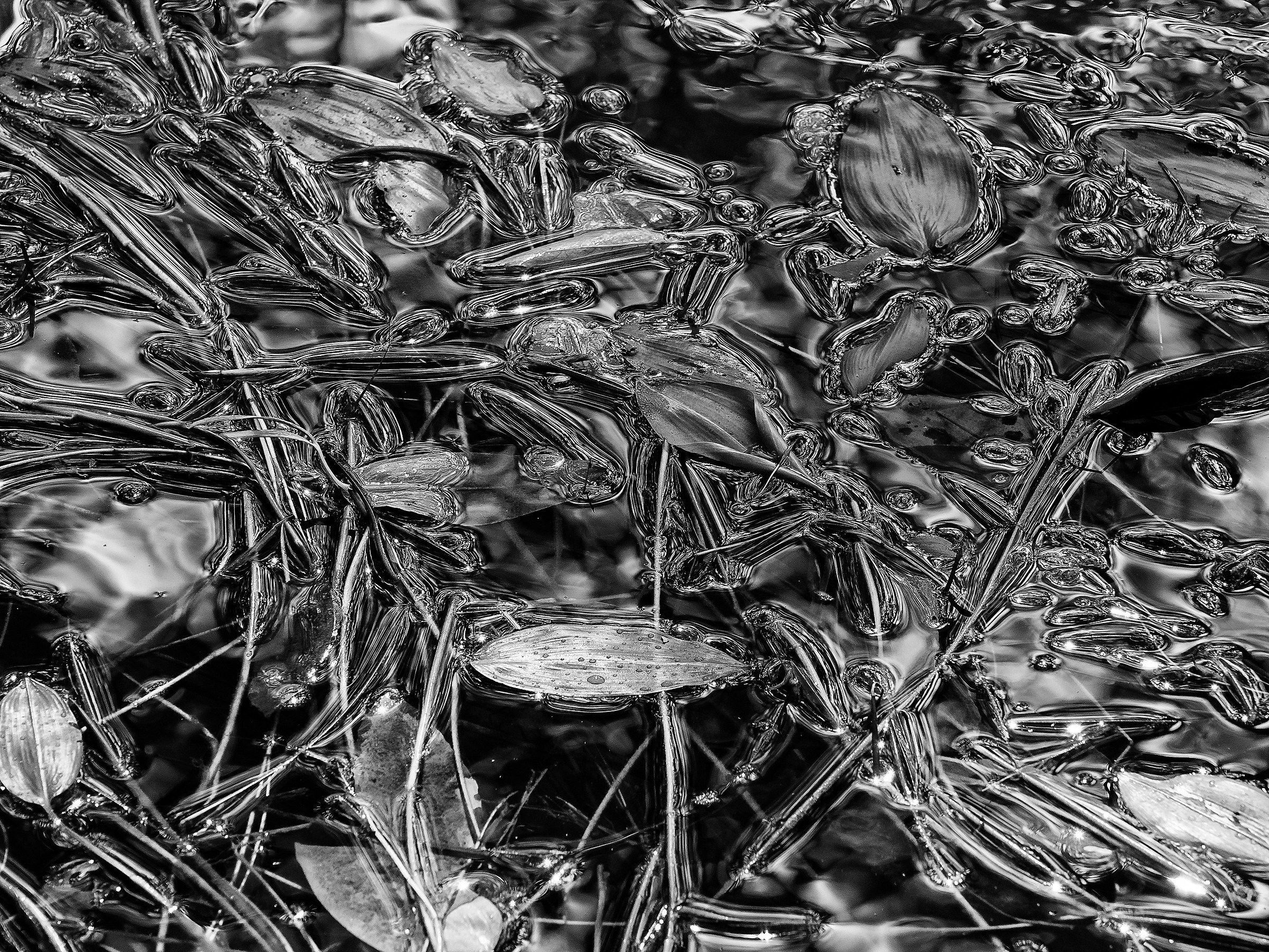 Giochi di luce sullo stagno