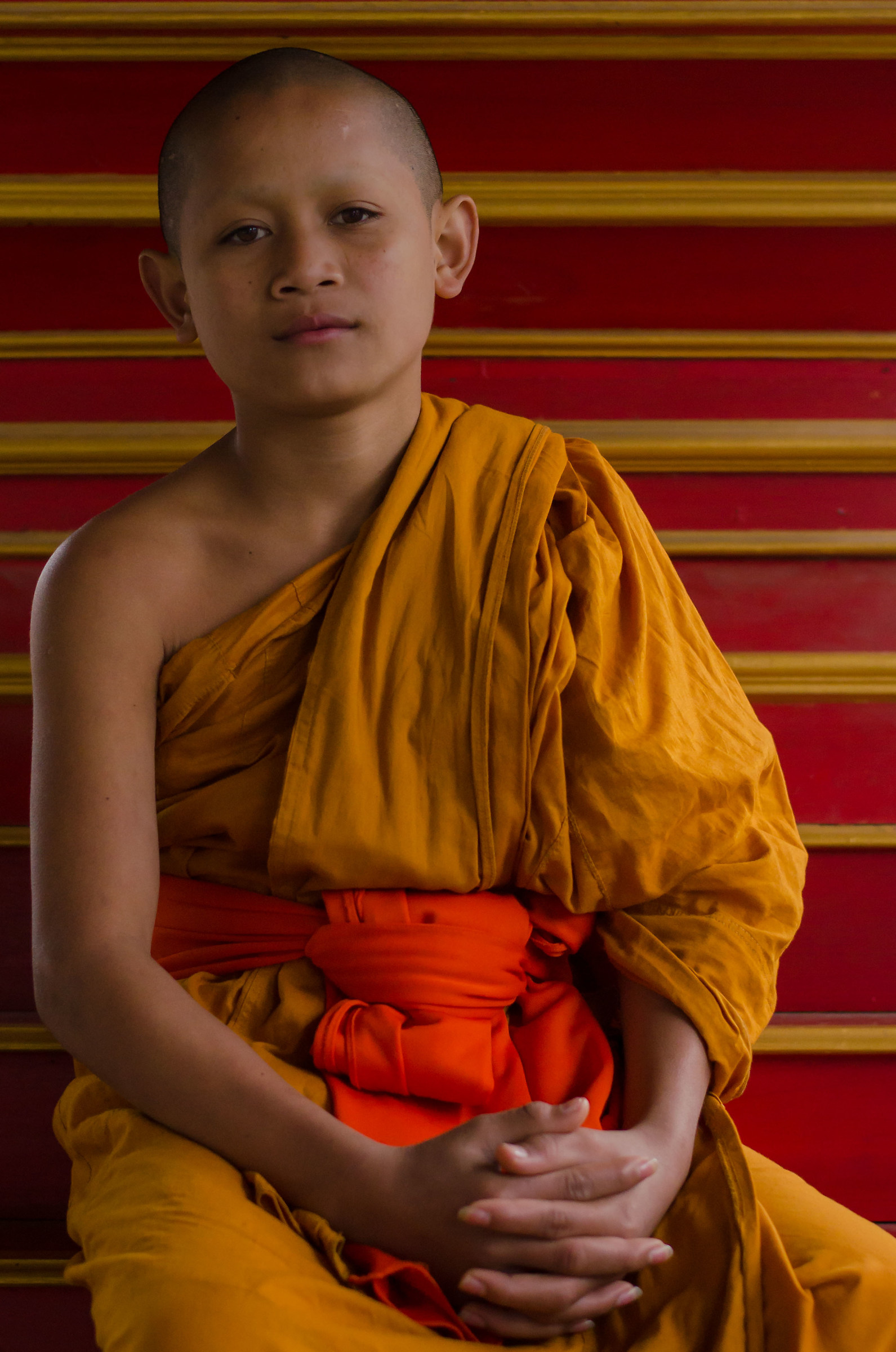 Ritratto di un monaco novizio