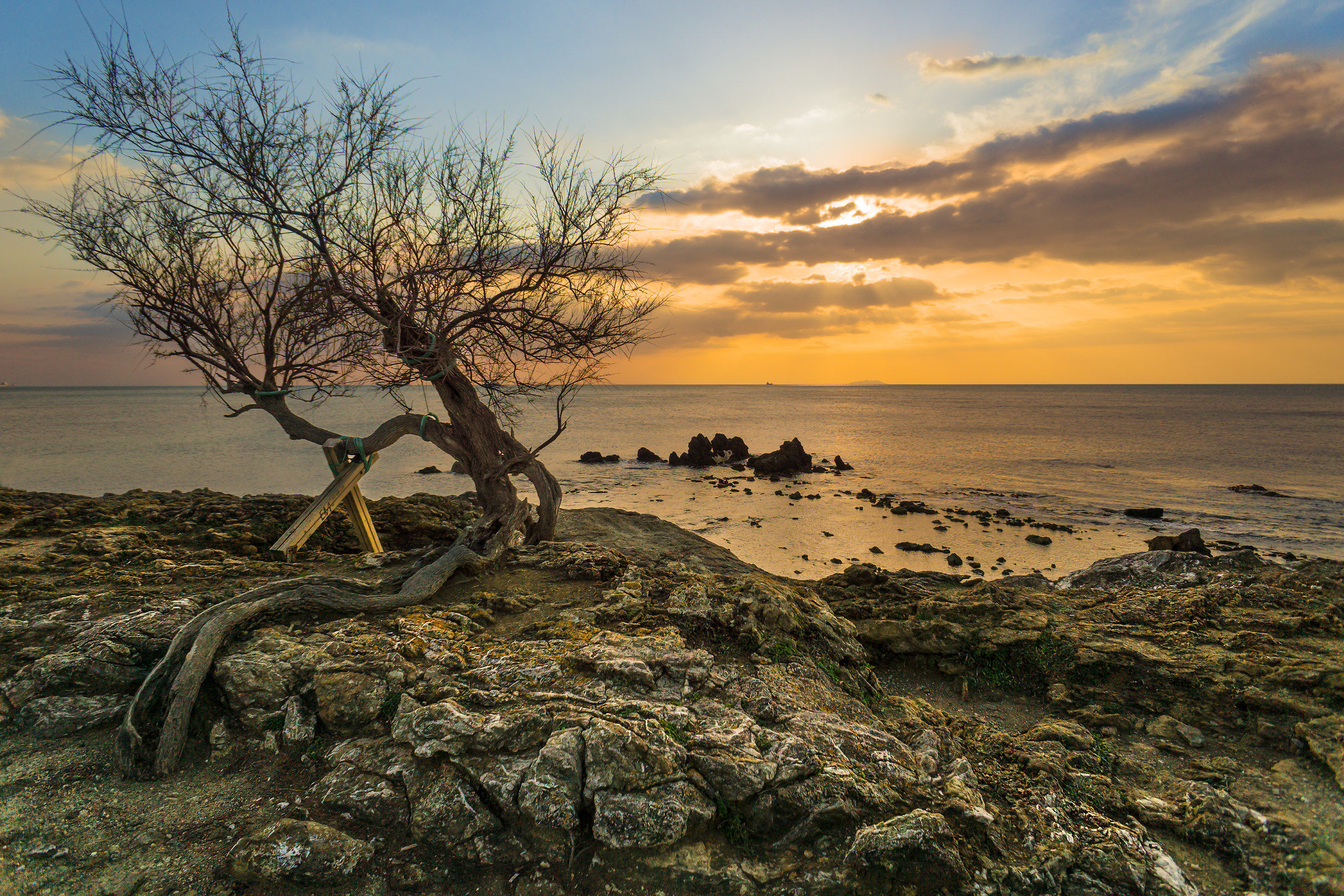 La Tamerice di Antignano