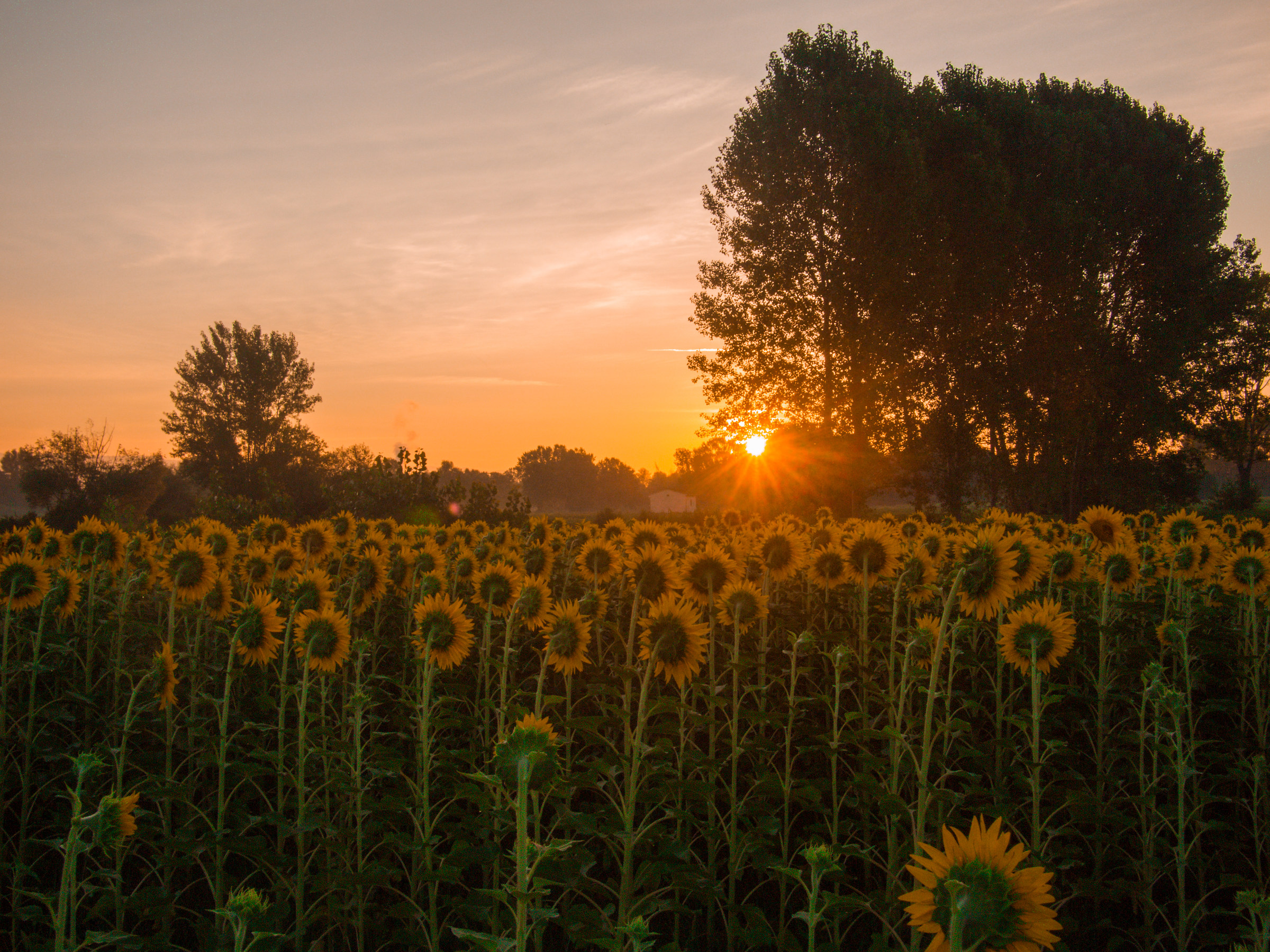 Primi raggi d'agosto