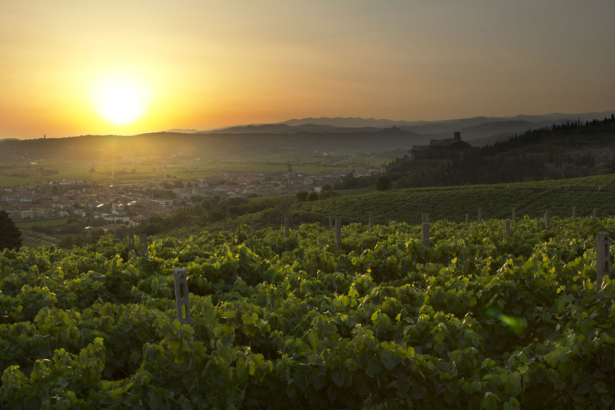 Bacio della buonanotte alle viti del Soave