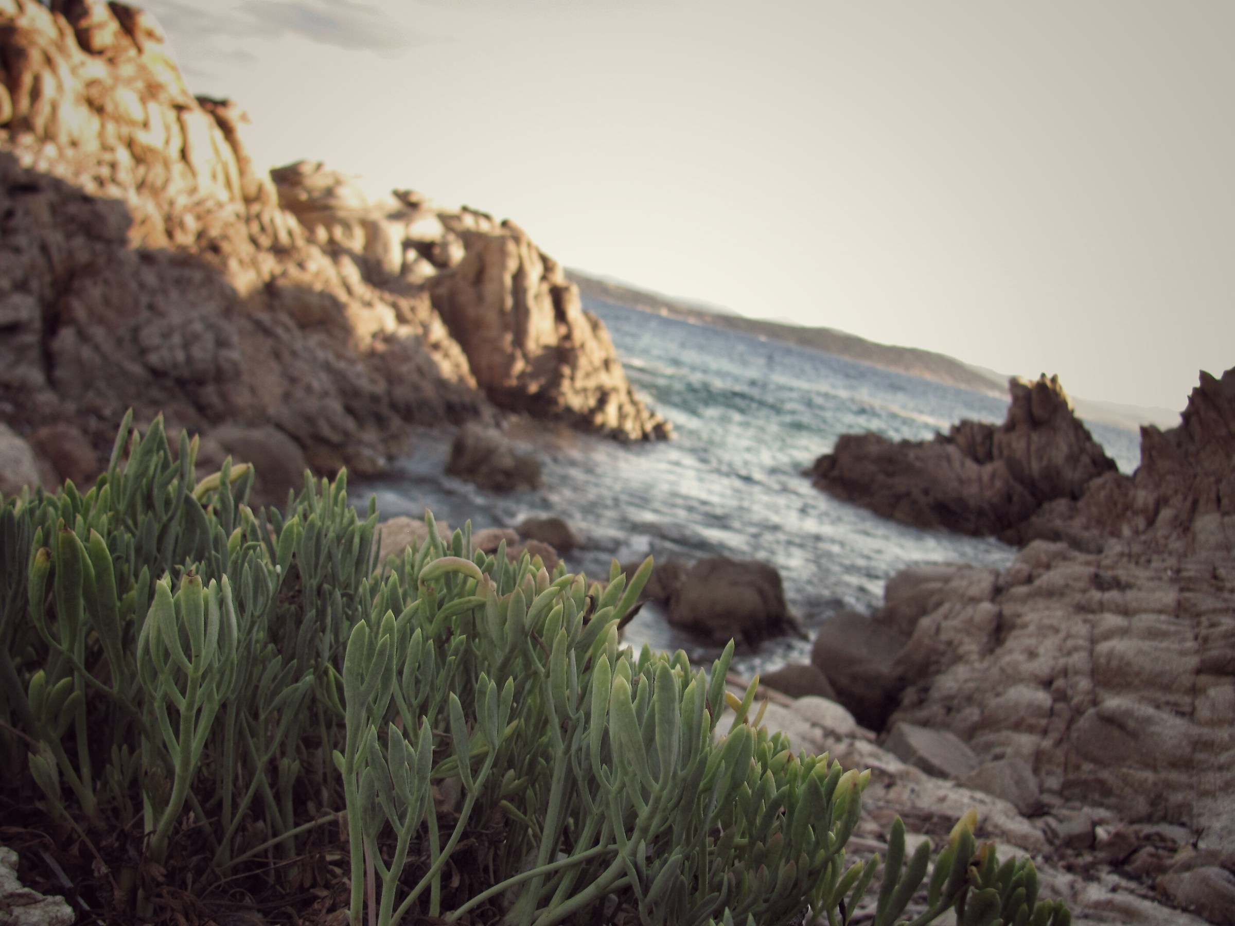 Cala Carlotto - La Maddalena