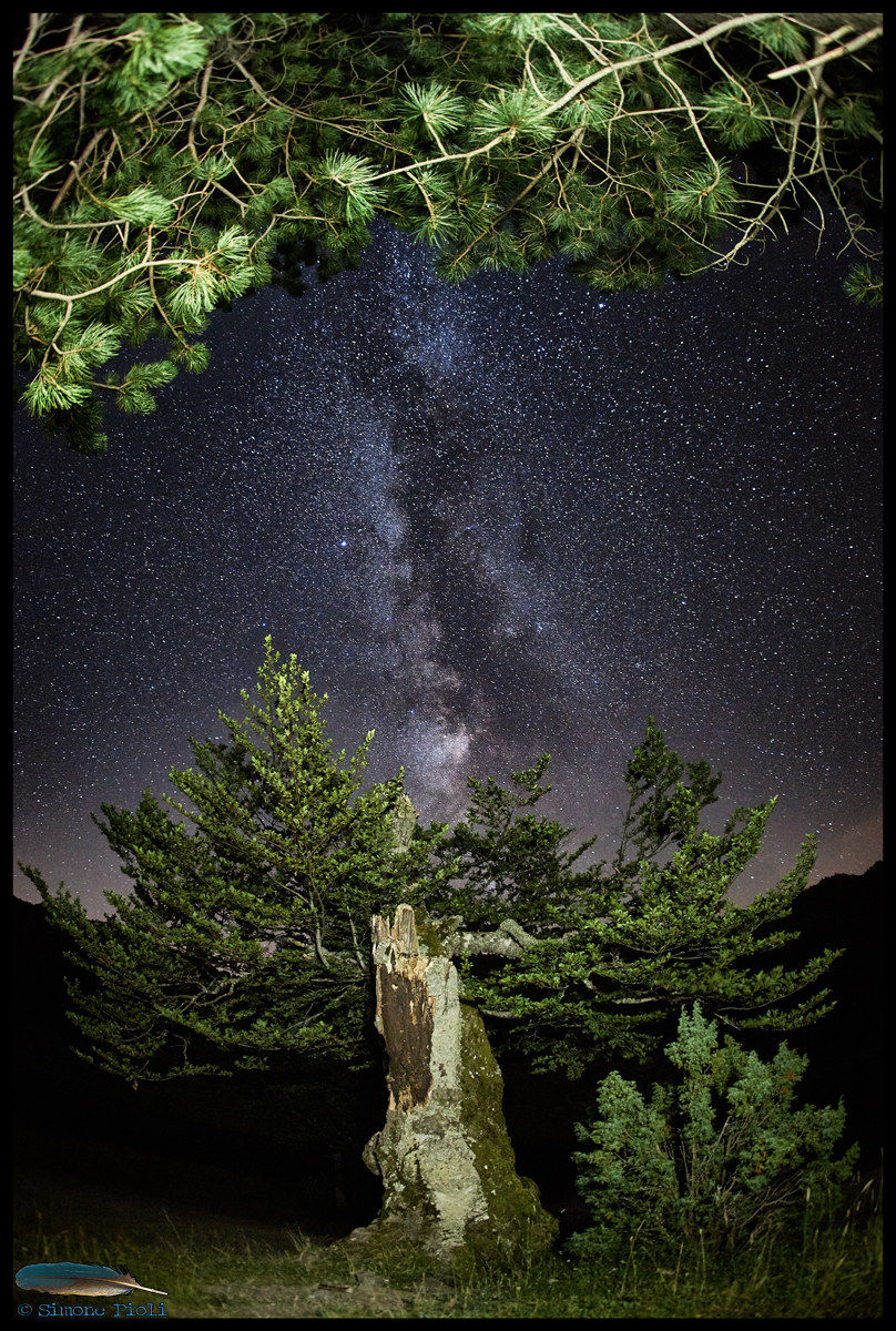 Milky Way to Calamone
