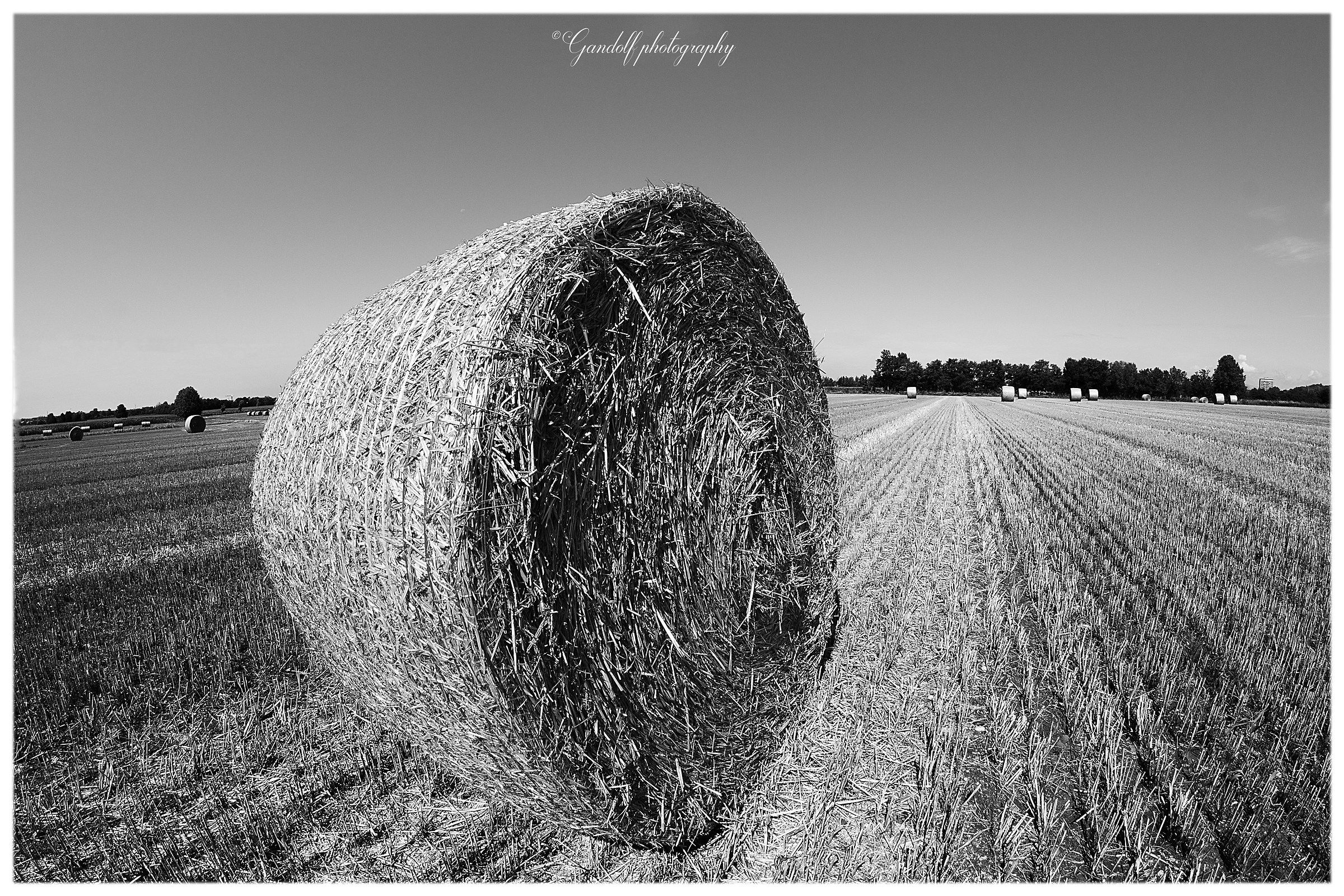 round bales