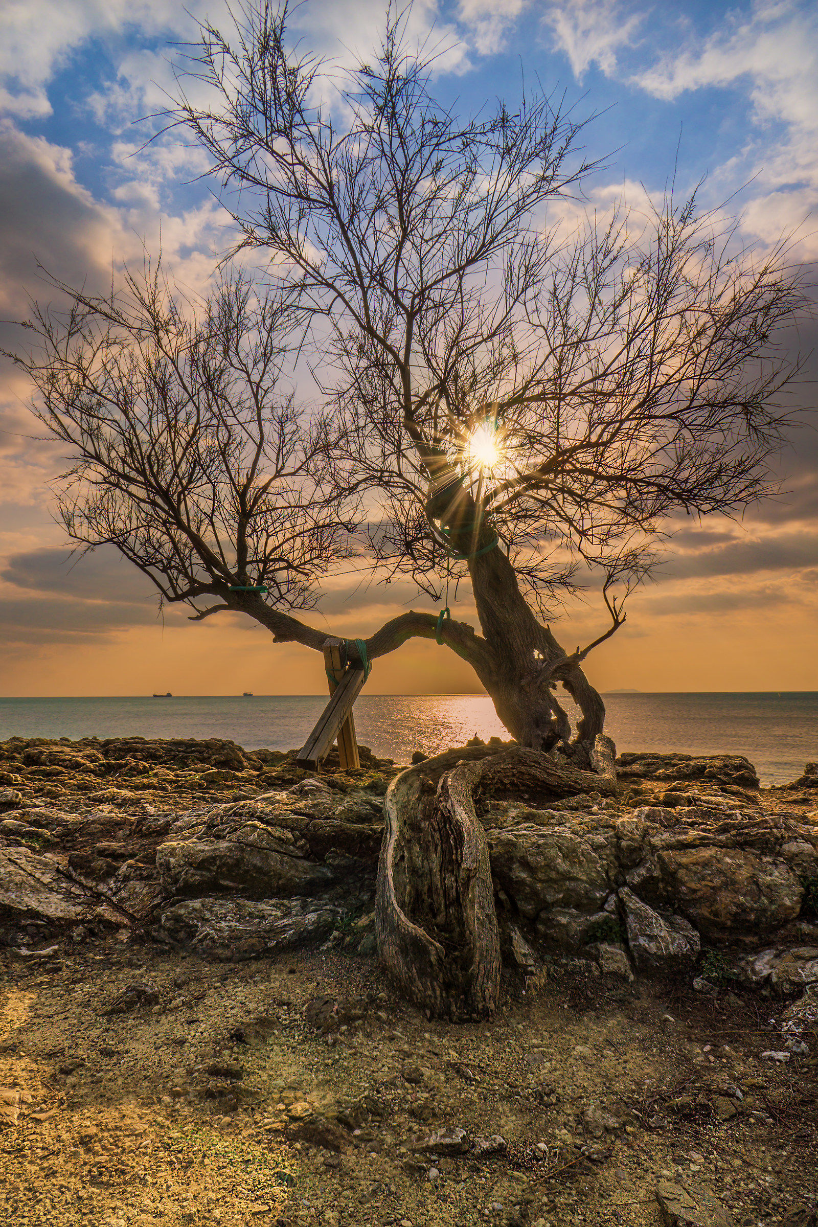La Tamerice di Antignano