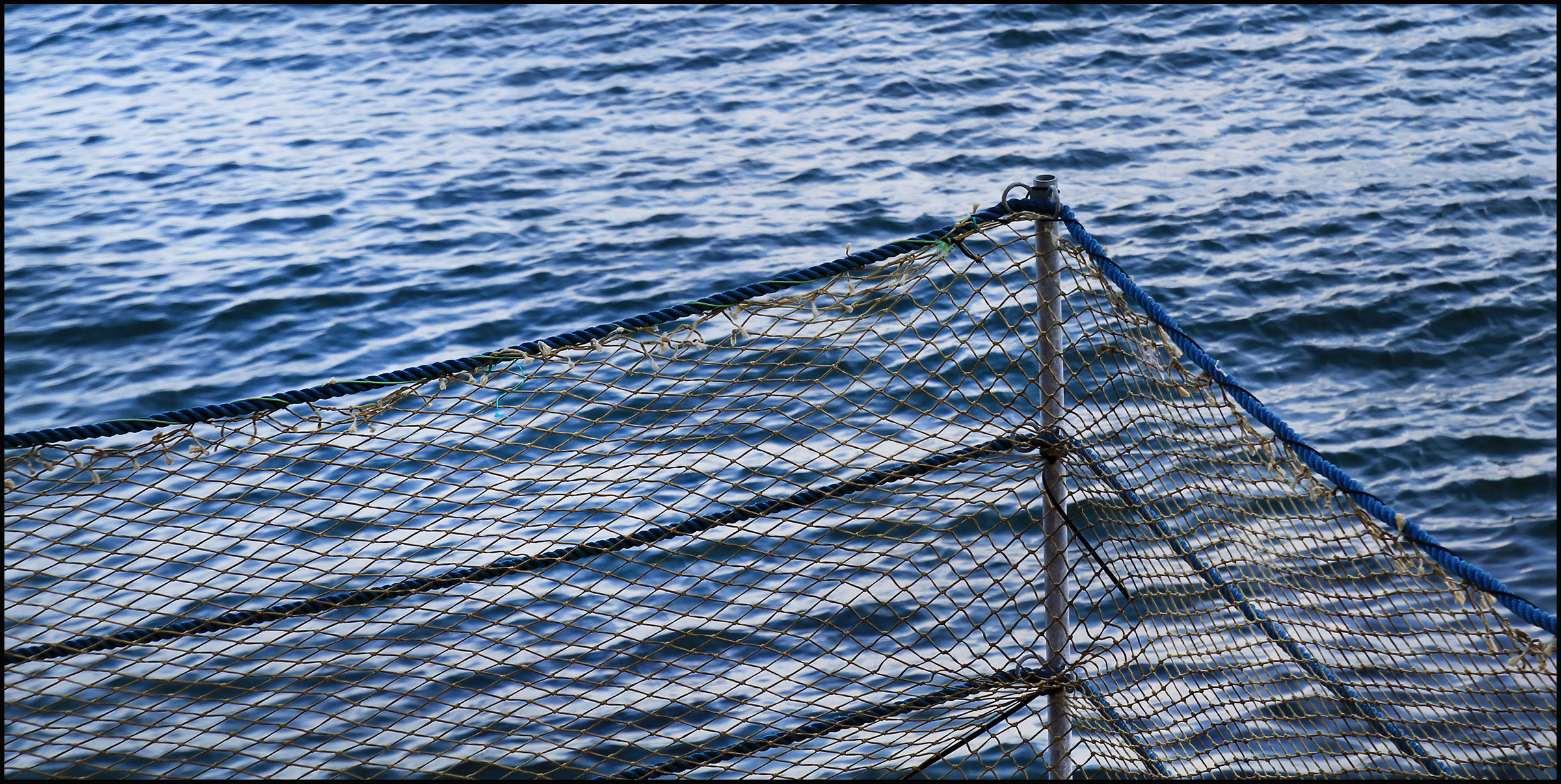 the sea and its elements ...