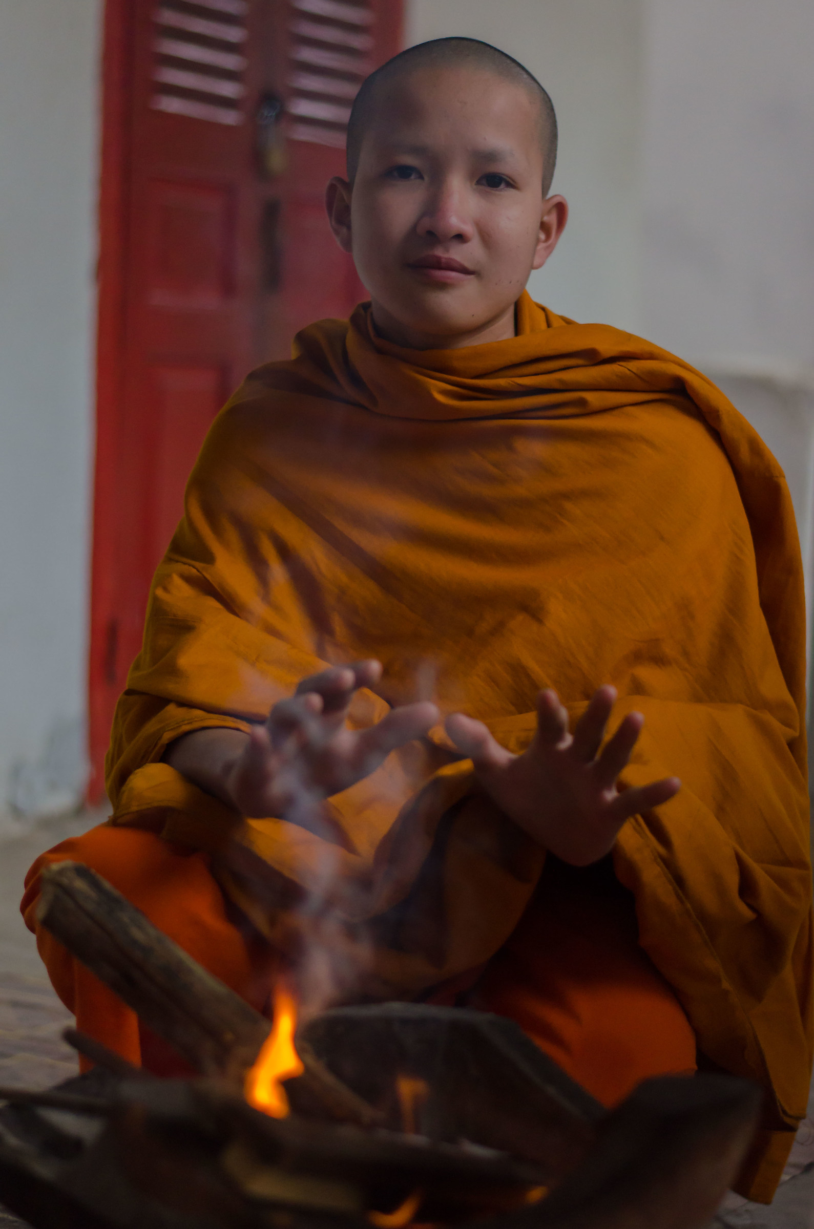 Ritratto di un monaco novizio