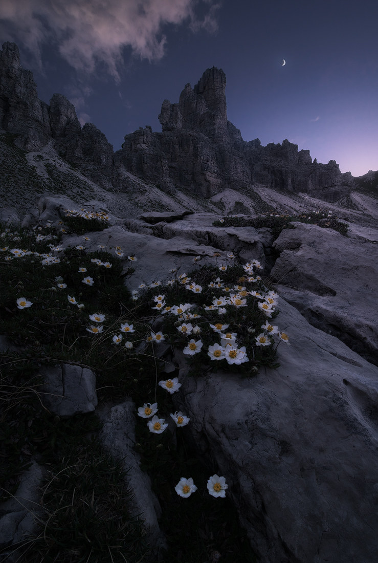 Twilight Peacefulness