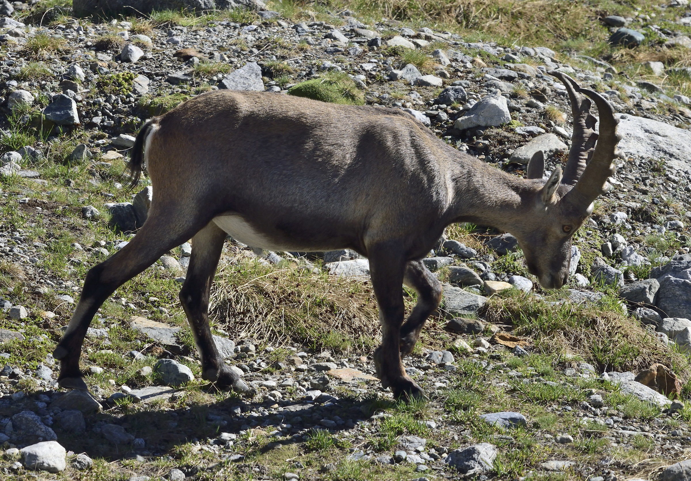 first meetings at 2700m
