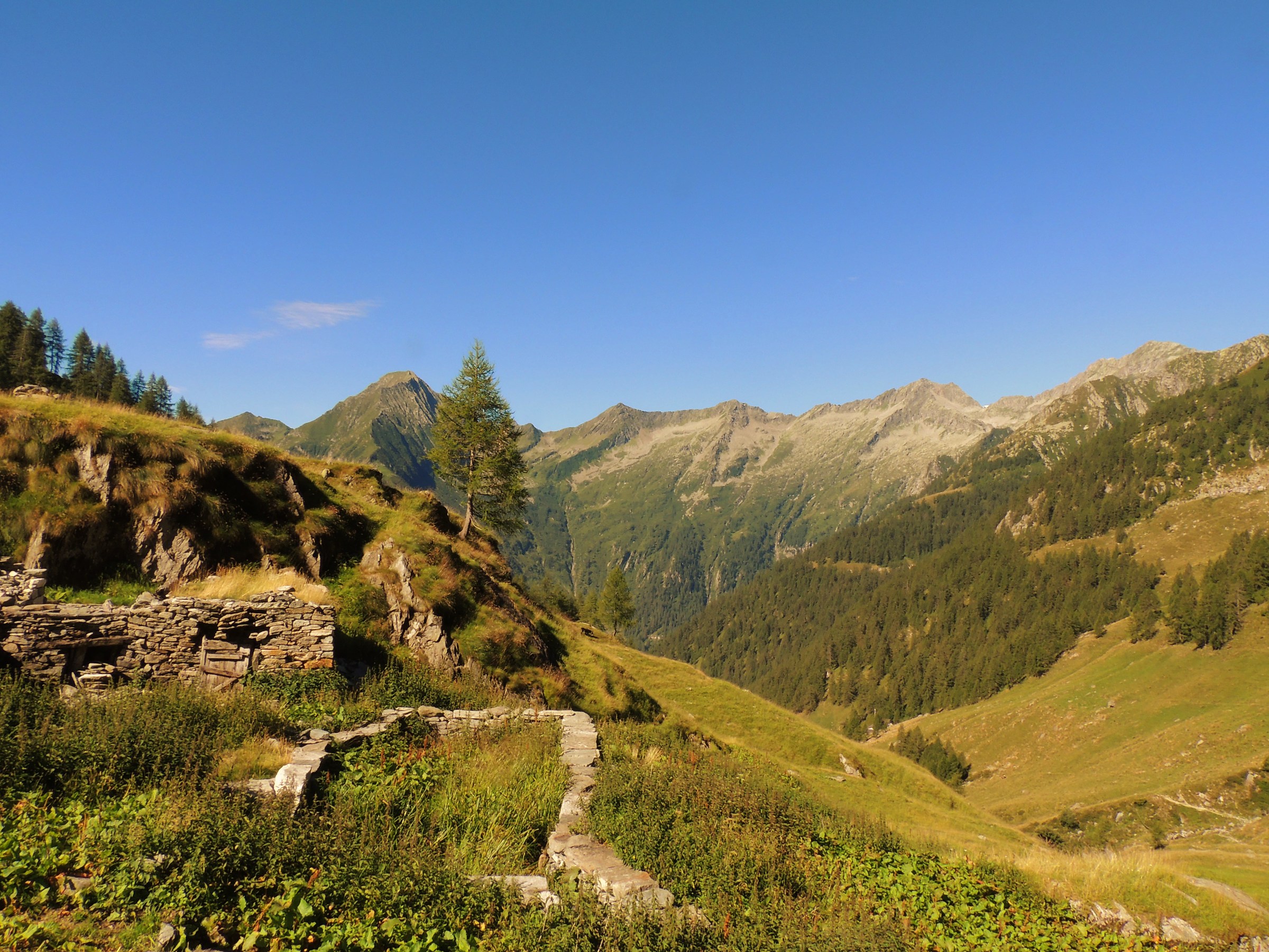 Vista sulla val Sermenza