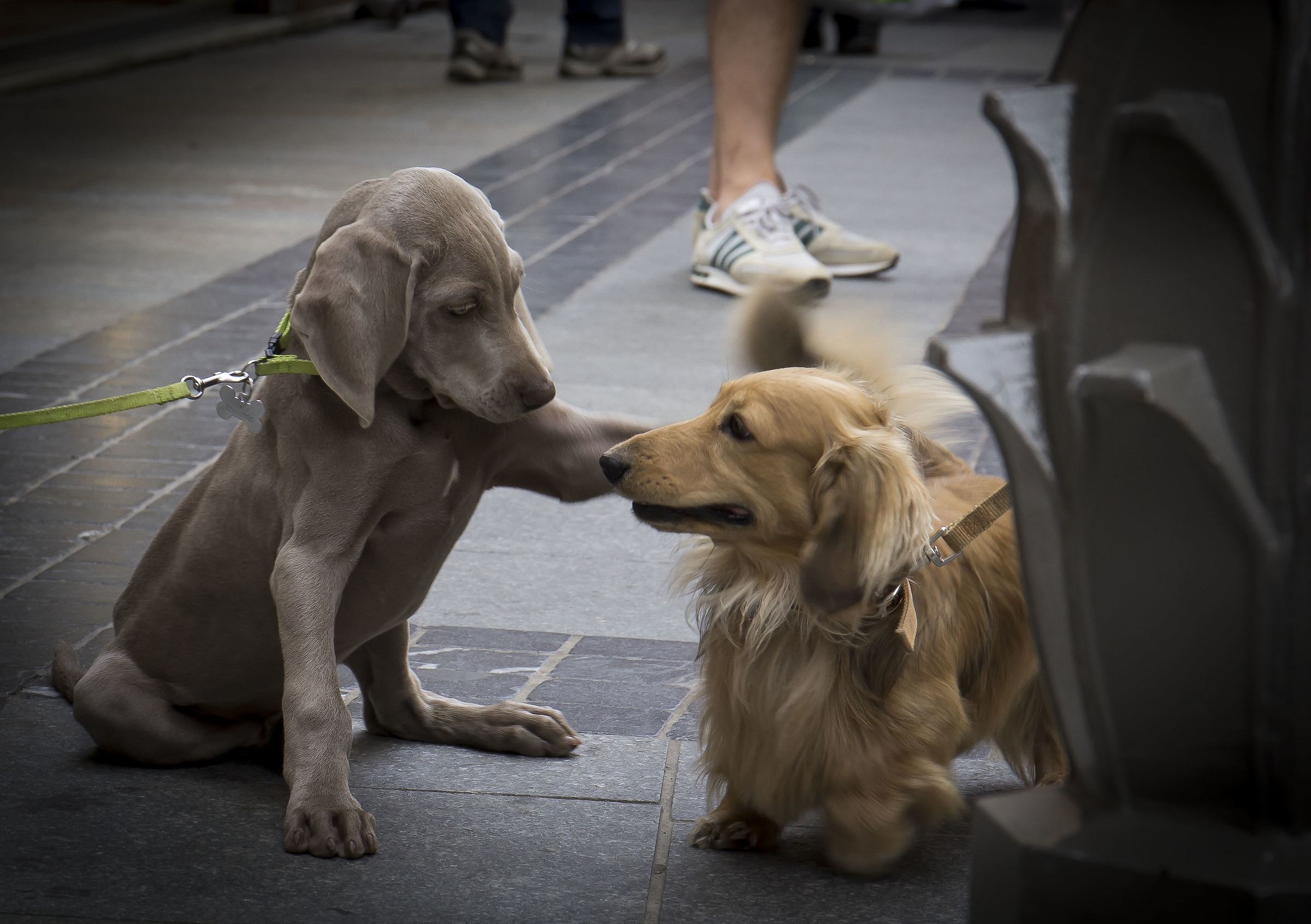 Then ..... friends forever?