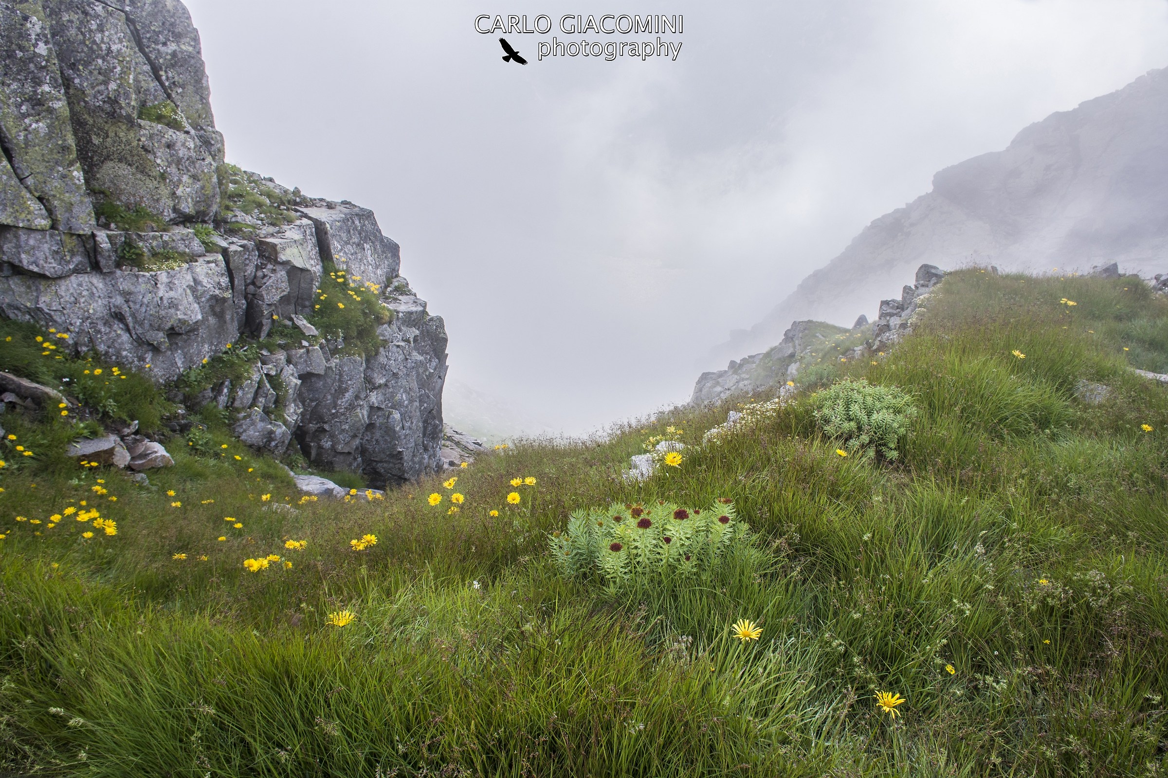 Nebbia al Passo Ignaga- Alta via dell'Adamello