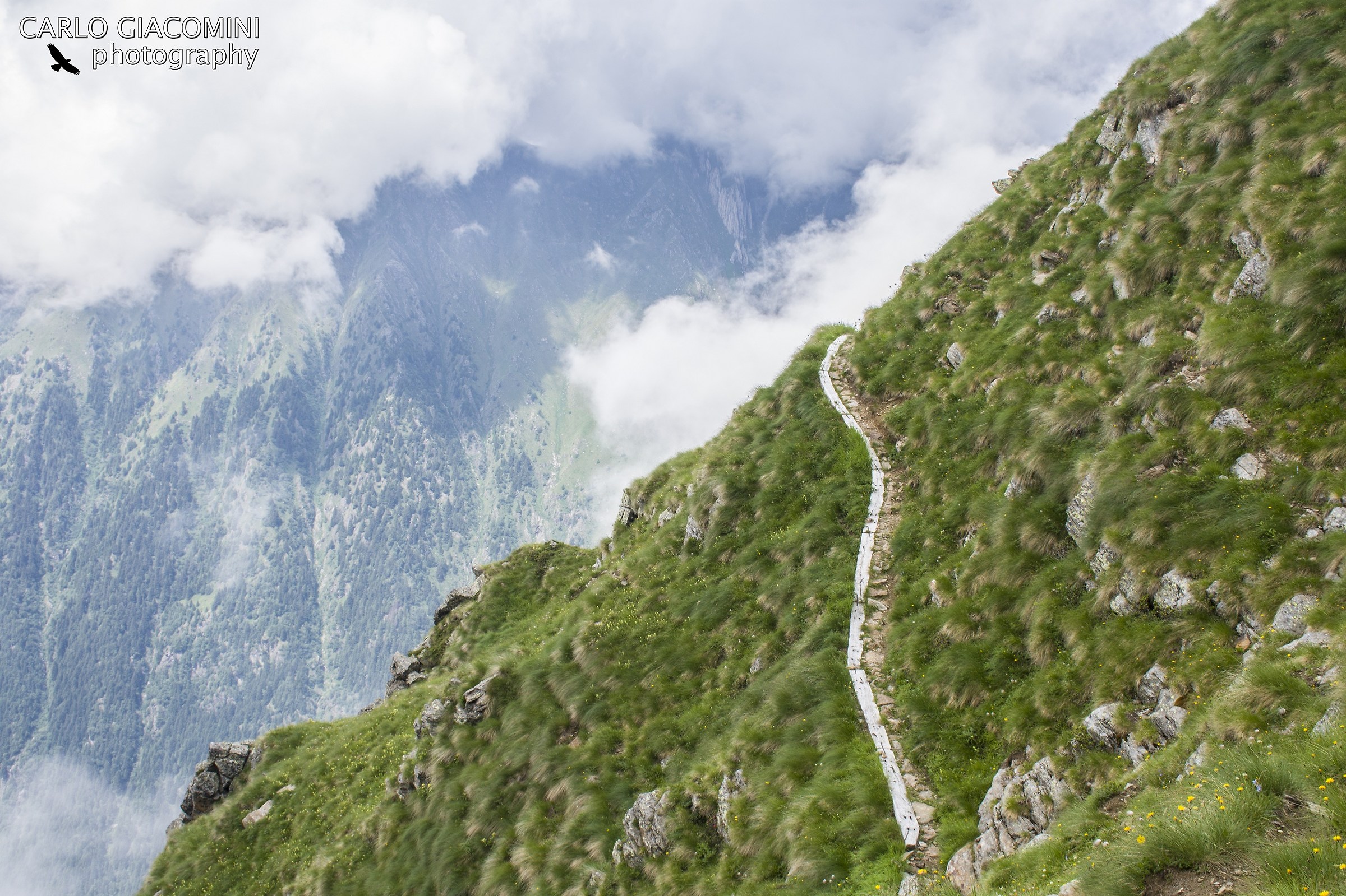 Sentiero in costa- Alta via dell'Adamello