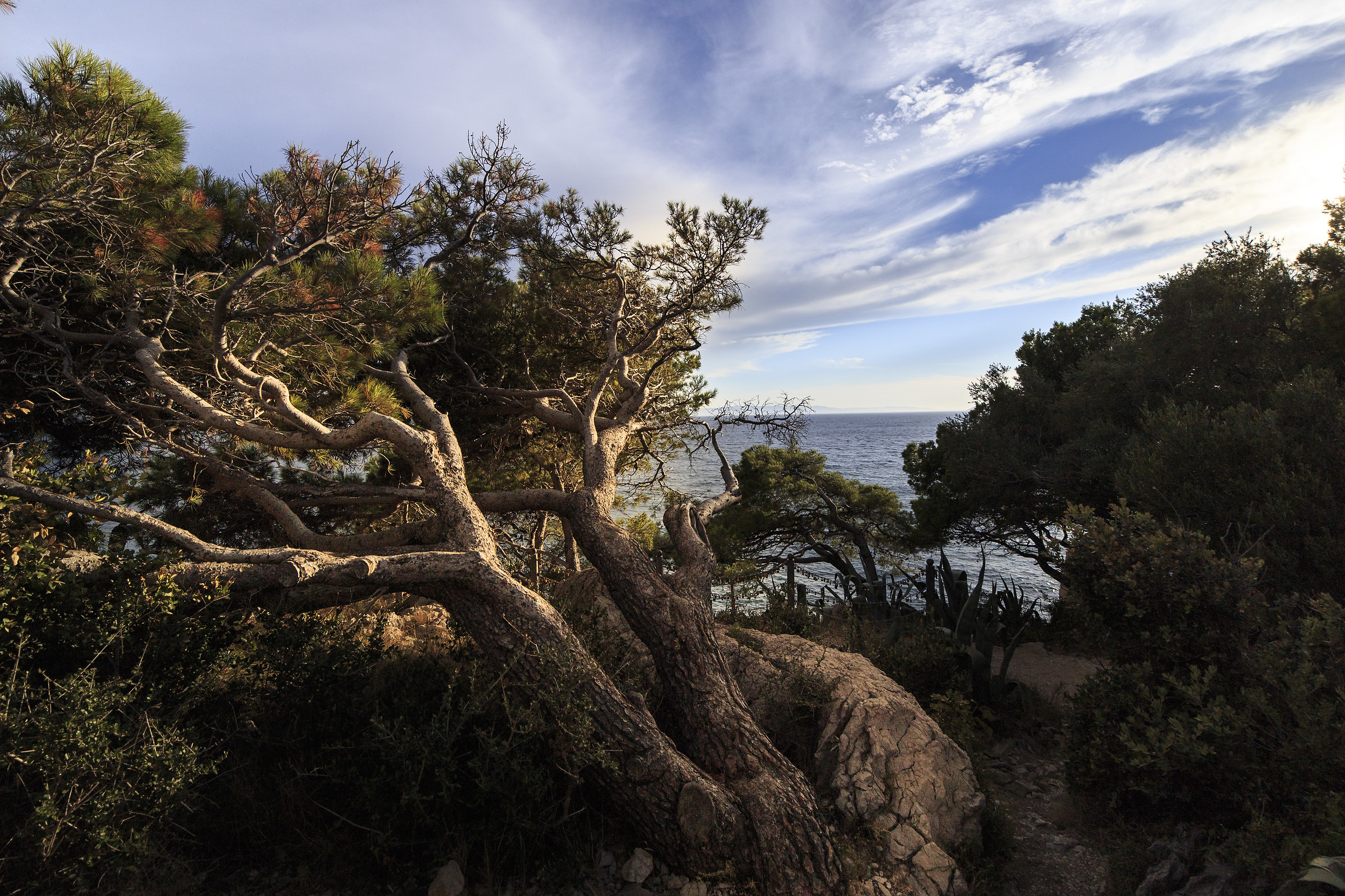 Park suma sveti Petar, Macarsca, Croazia