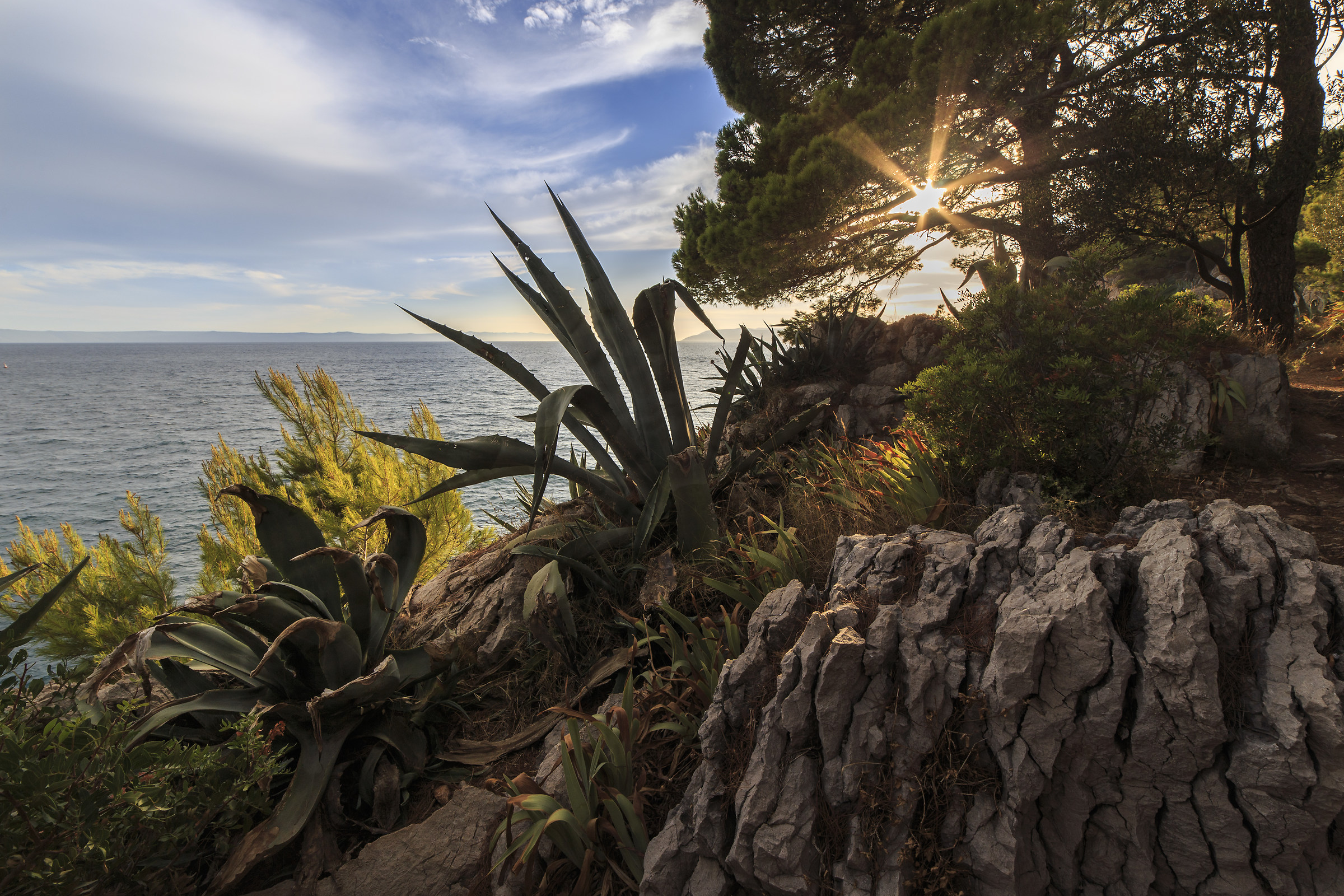Tramonto da Park suma sveti Petar, Macarsca, Croazia