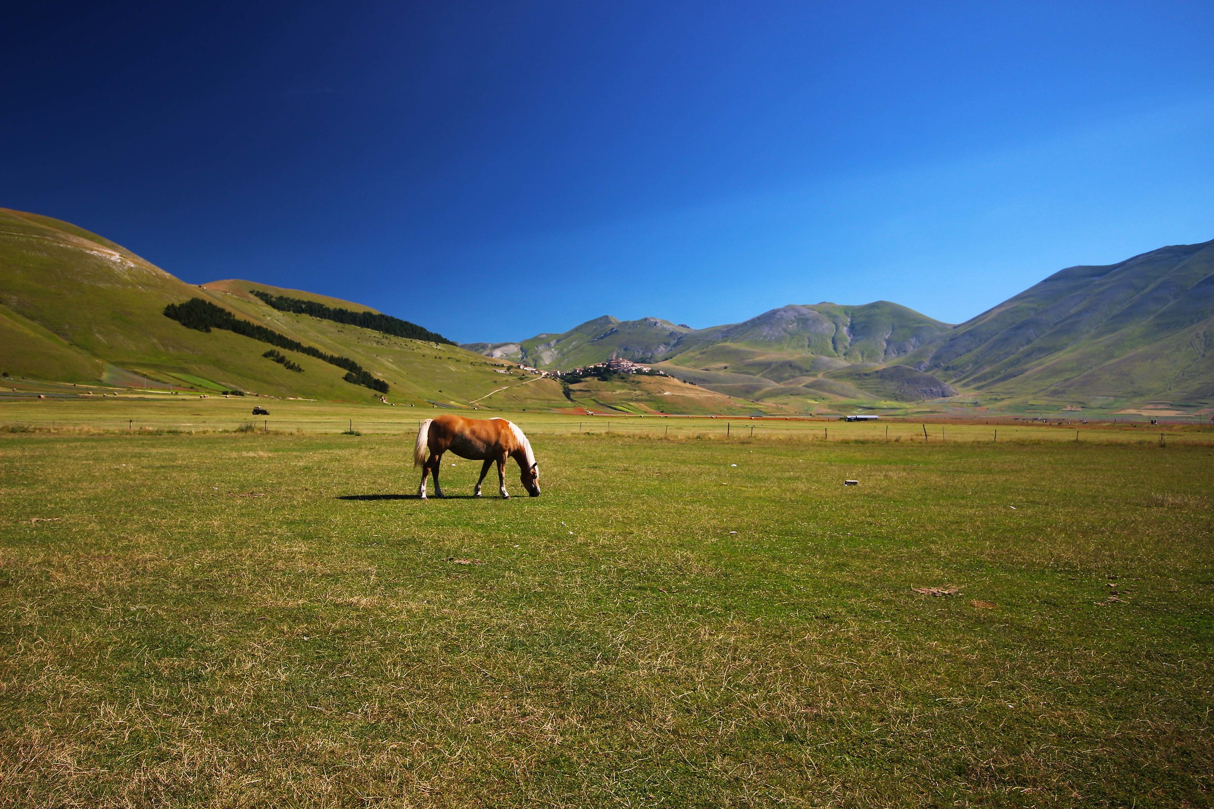 da solo in mezzo alla piana