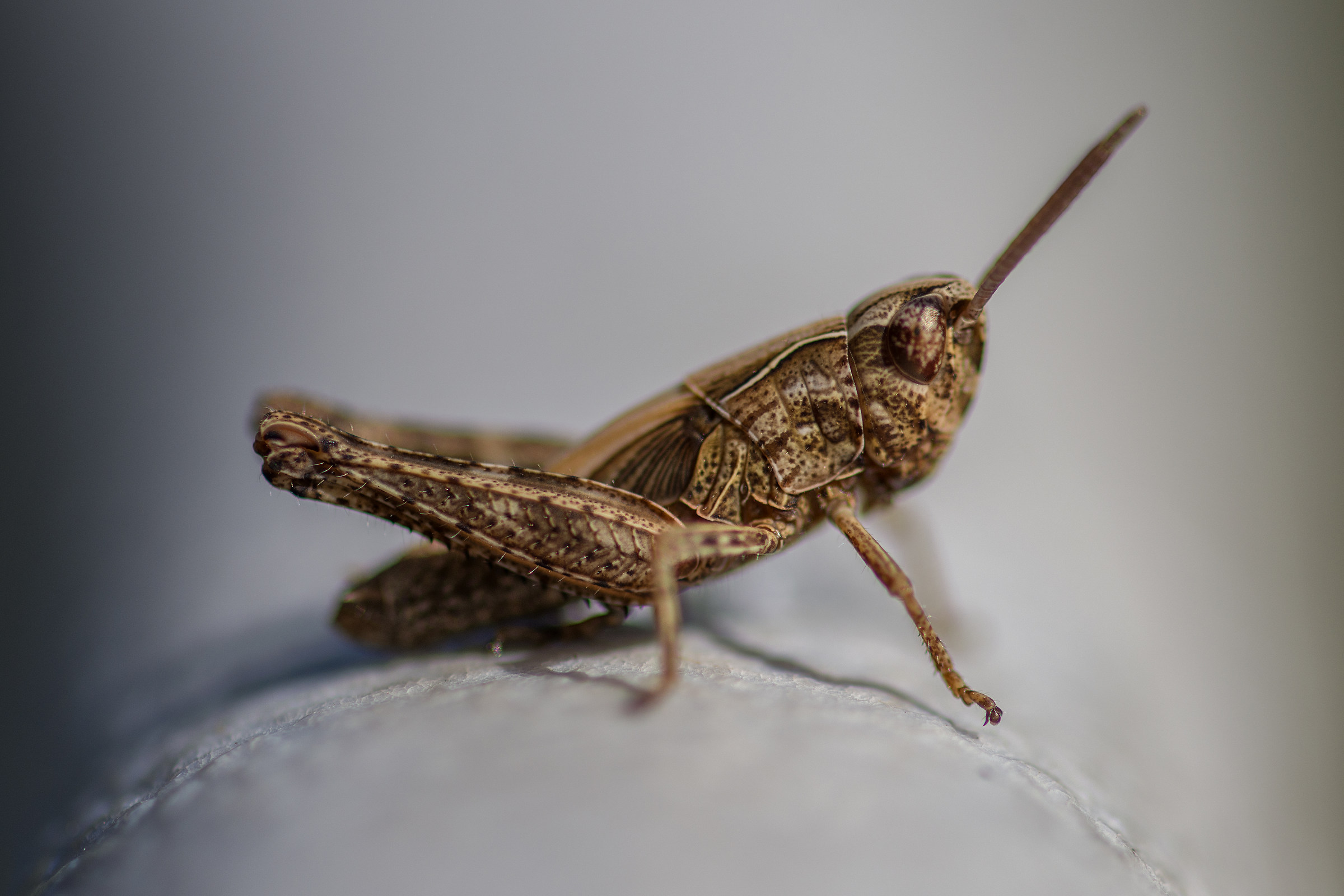 La curiosità dei bimbi