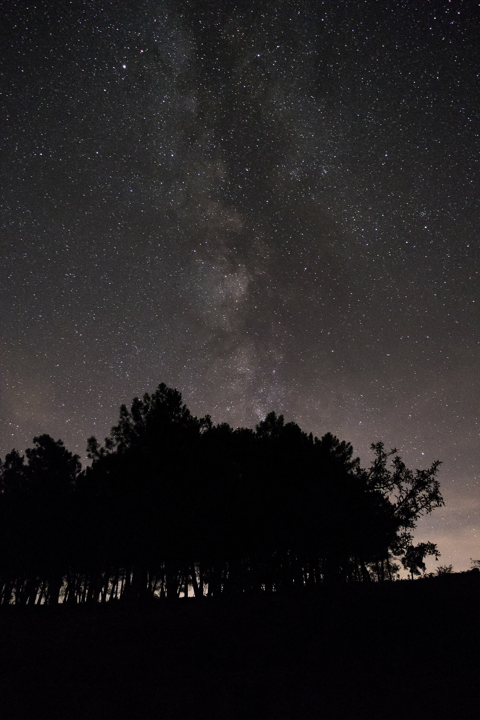 Sardinia radio telescope