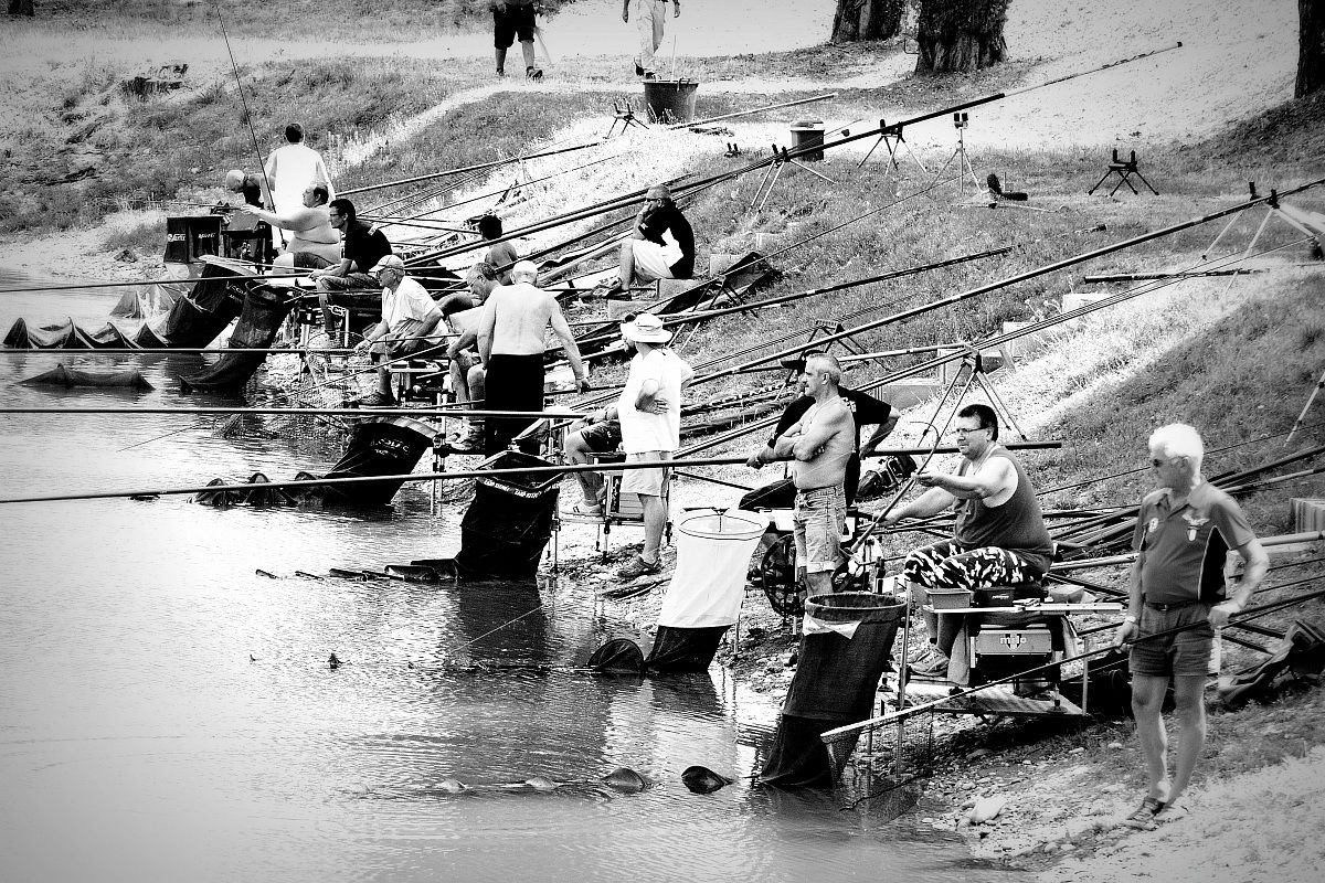 Fishermans! Gara 12 ore