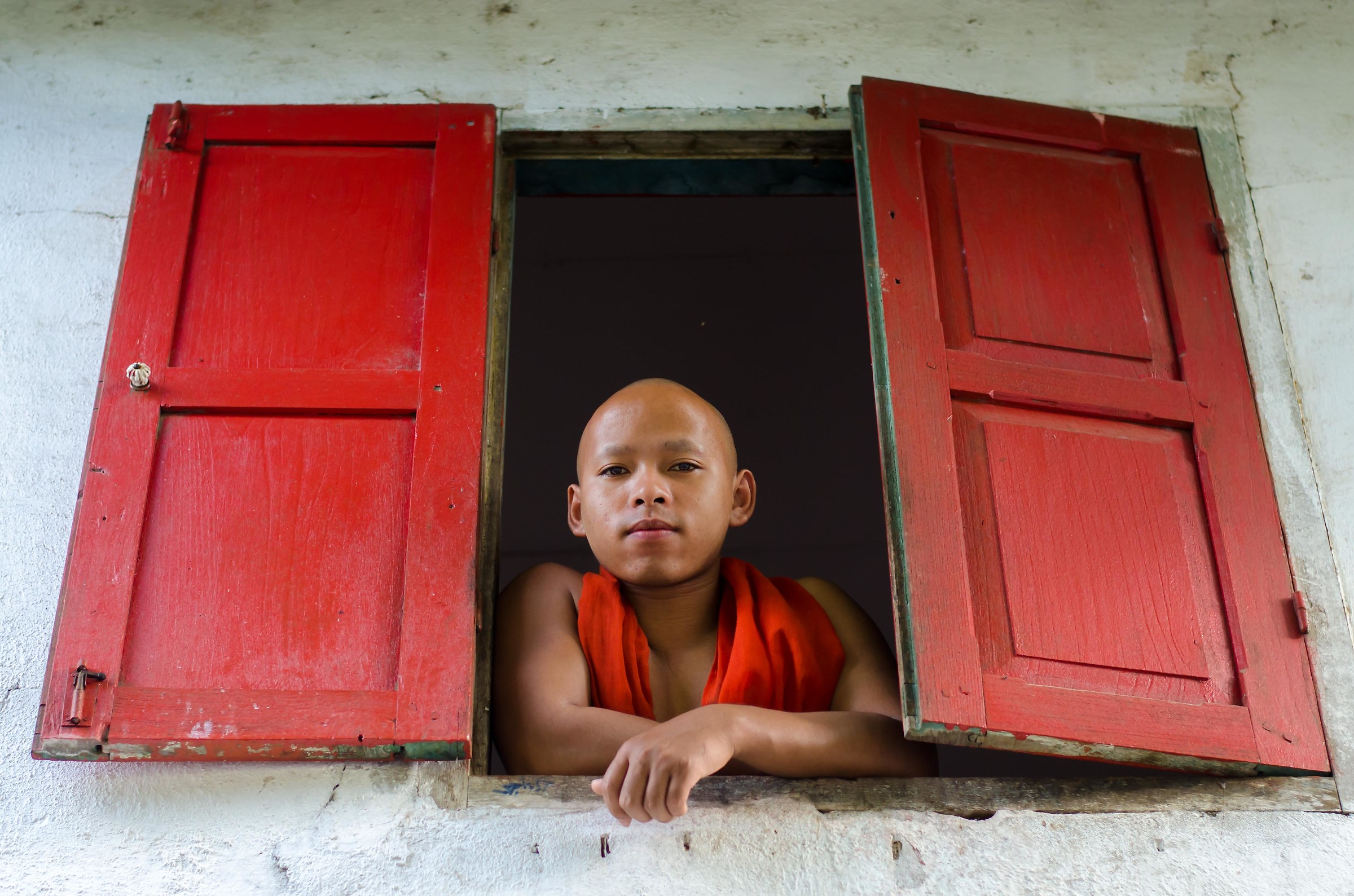 Ritratto di un monaco novizio