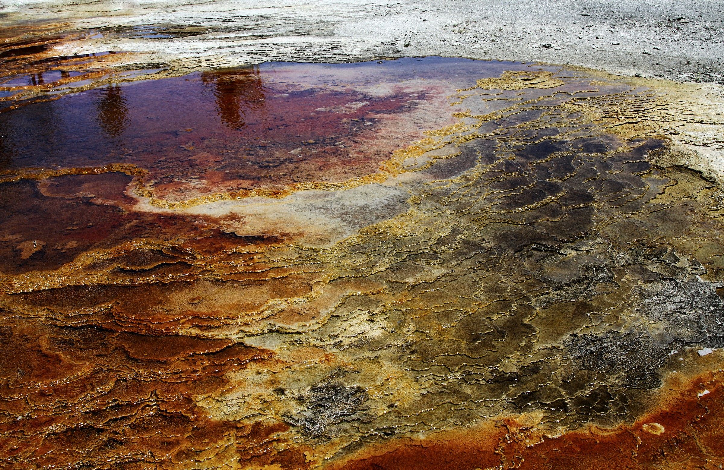 sulphurous pools of Yellowstone park. USA