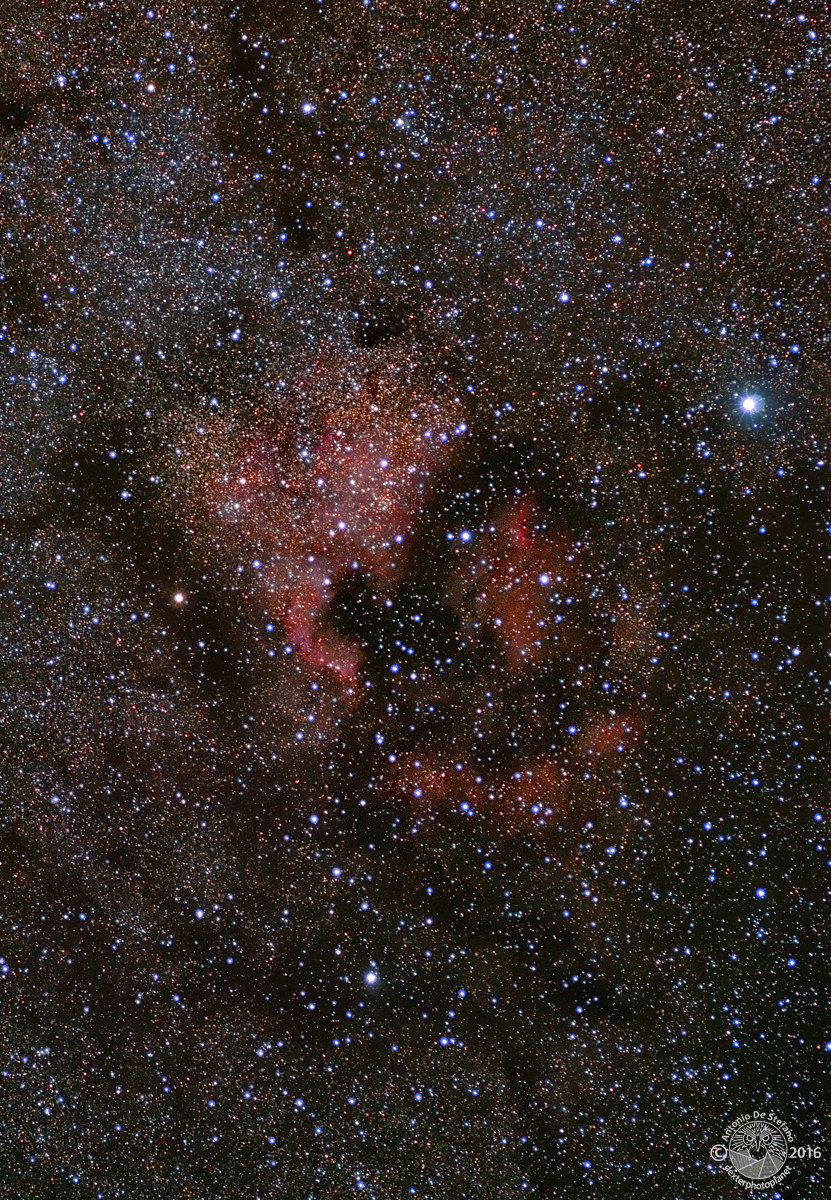 Wide field NGC 7000 + IC 5067/70