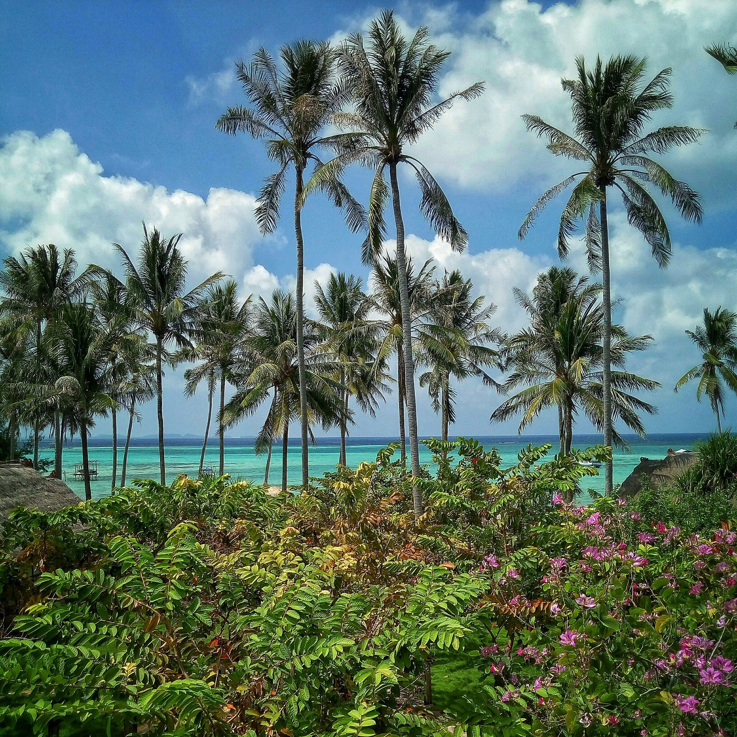 Indonesia in technicolor