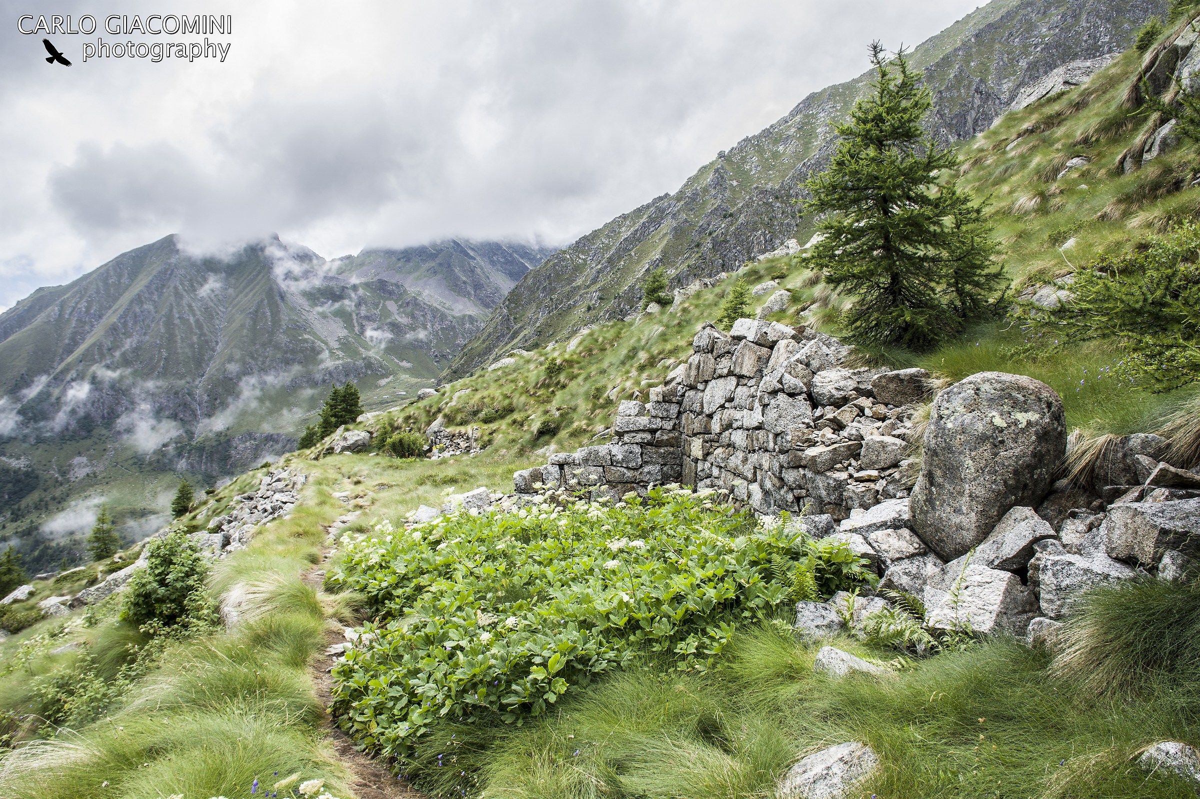 Verso il Passo del Gatto- Alta via dell'Adamello