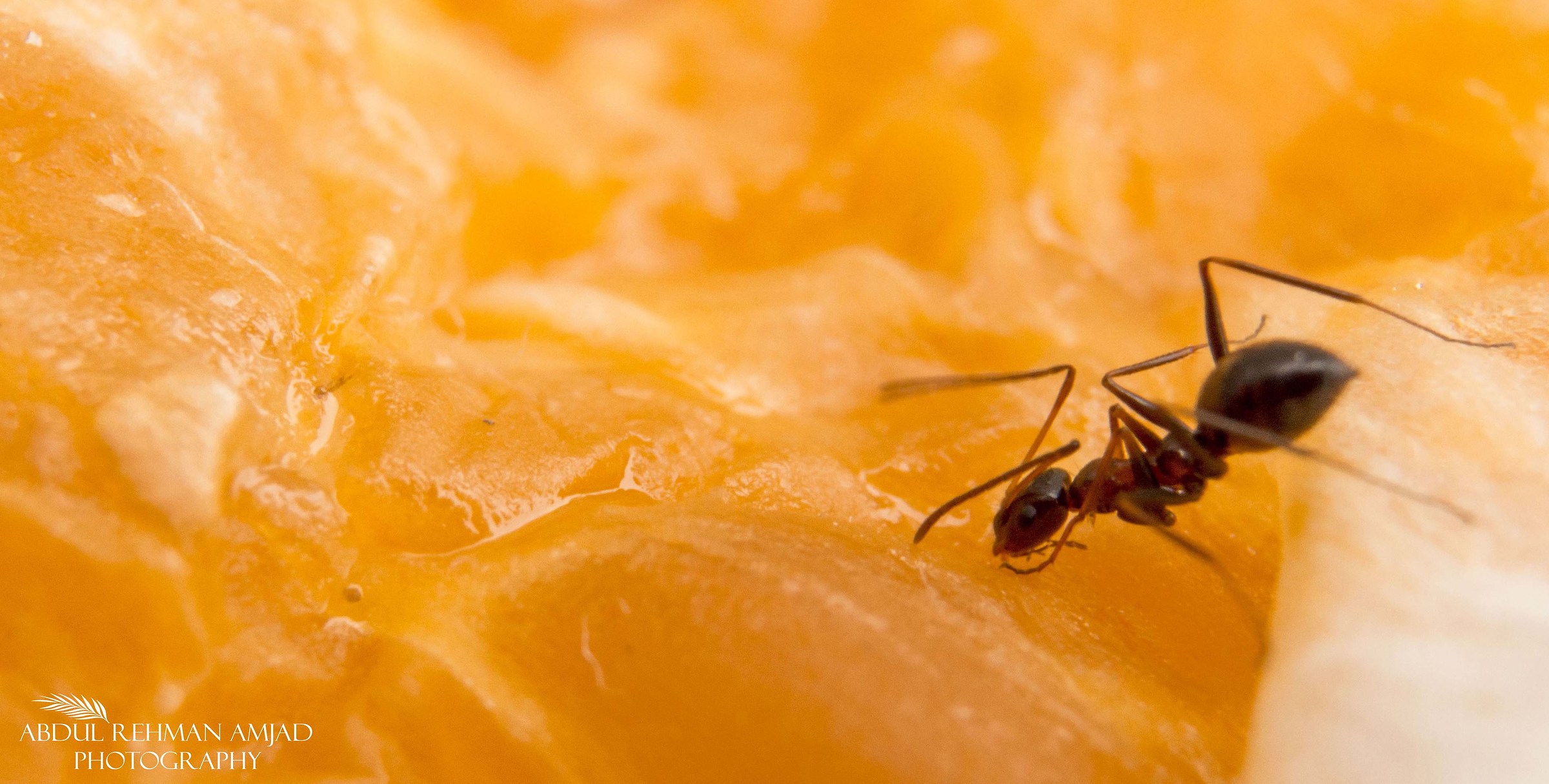 Hey Im just doing my job!