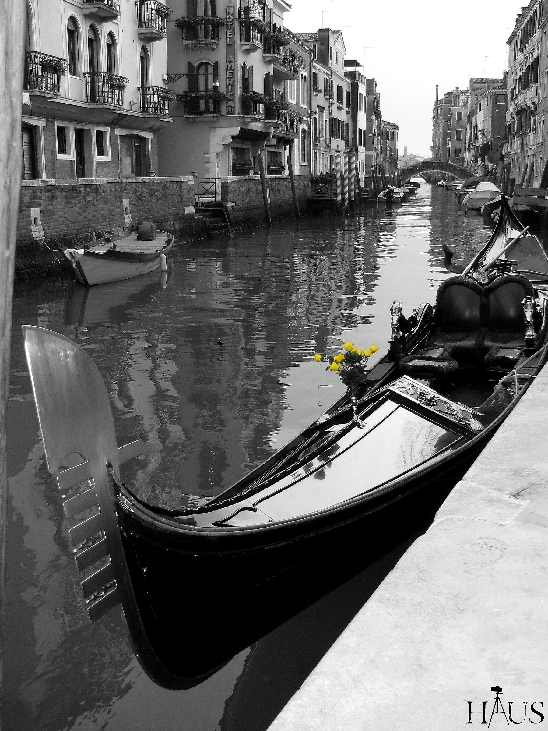 NON è triste Venezia