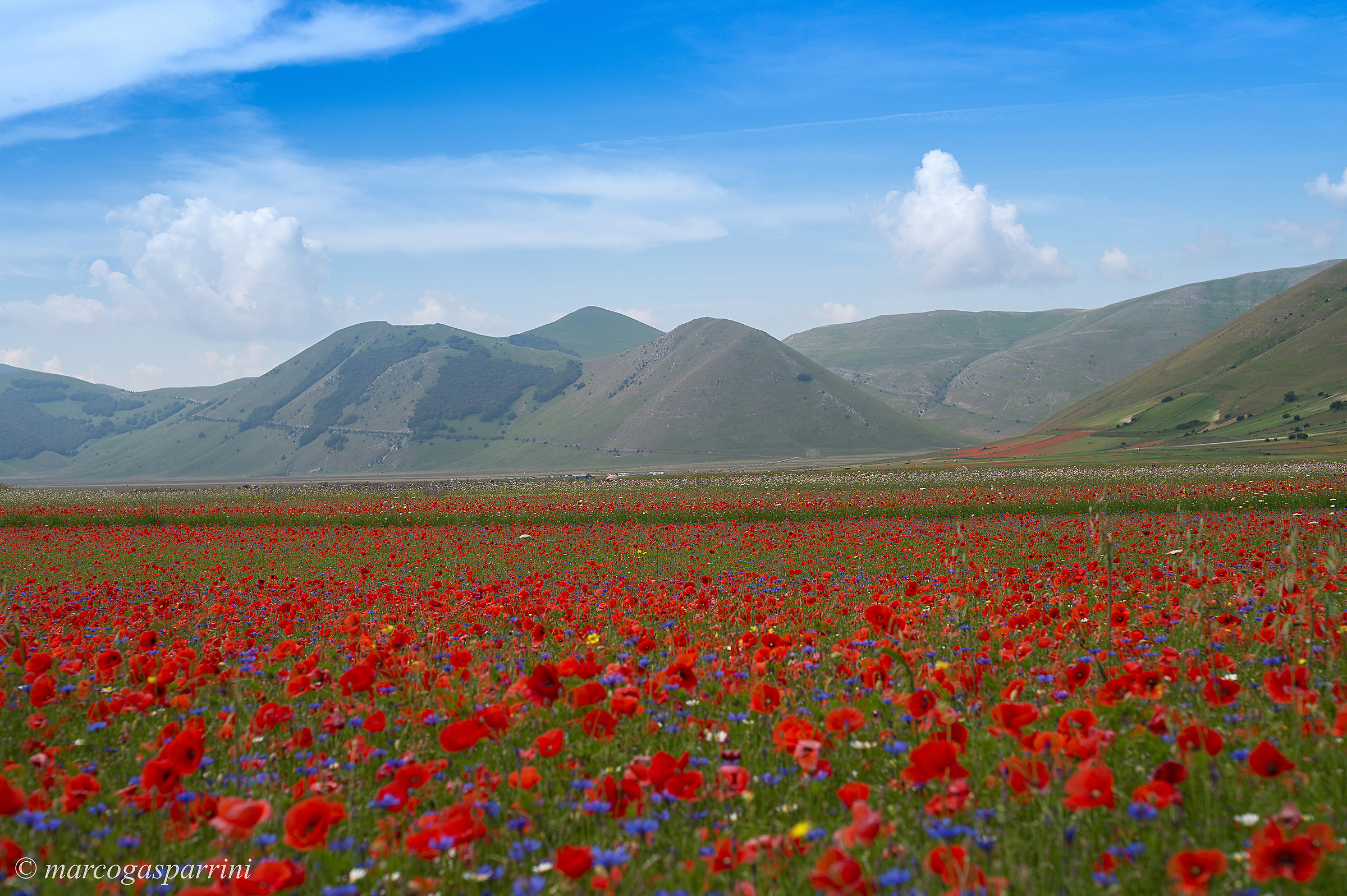 Castelluccio