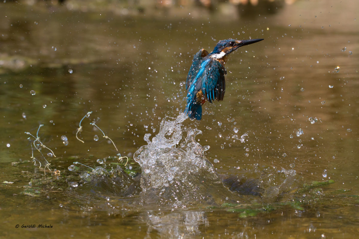 La prossima volta ti pesco!
