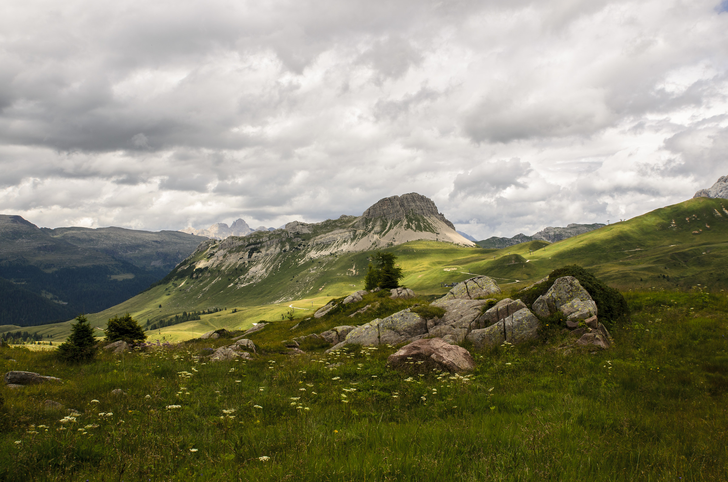 Panorama Passo Rolle