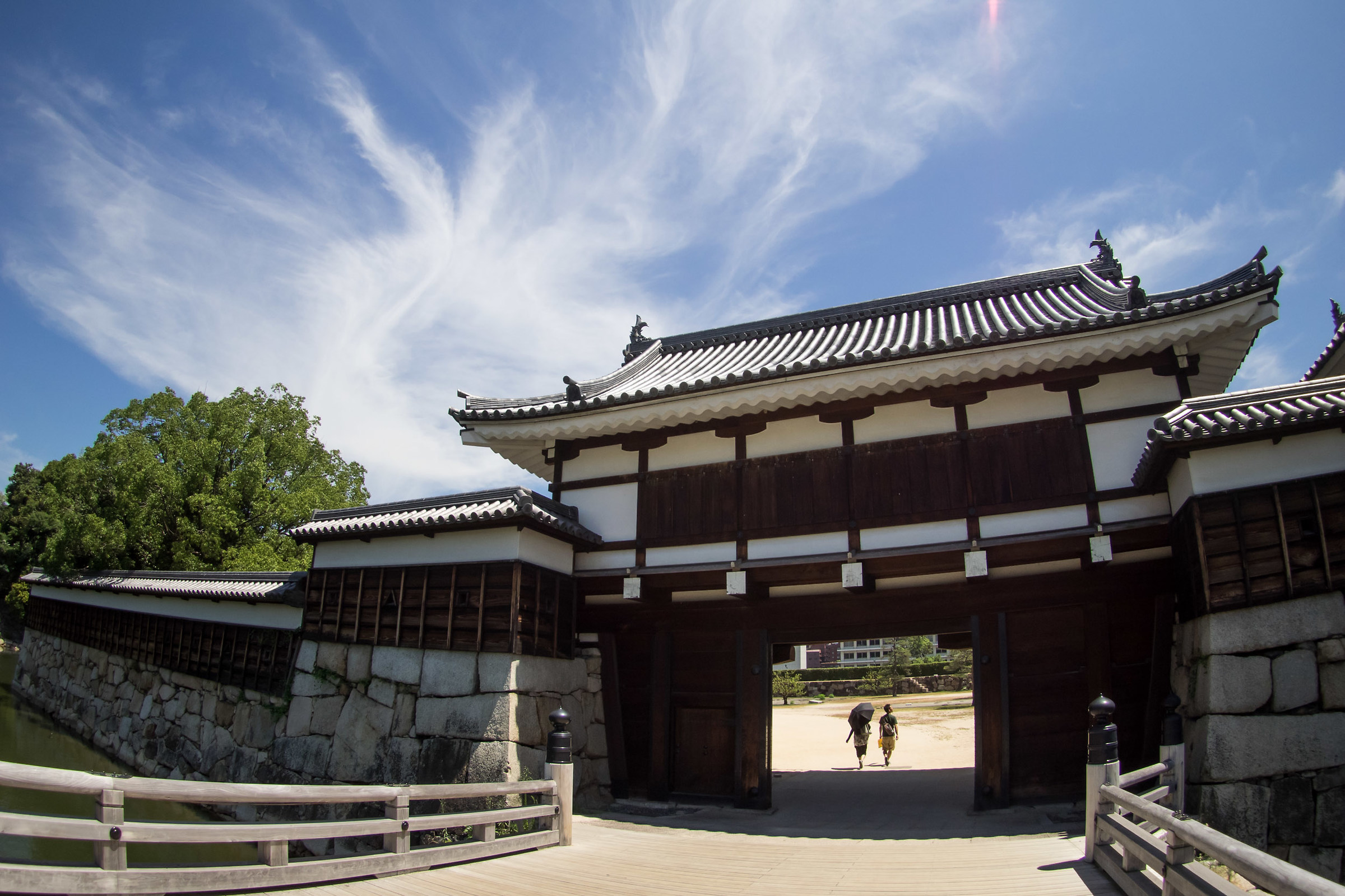 Japanese a fish-eye 1