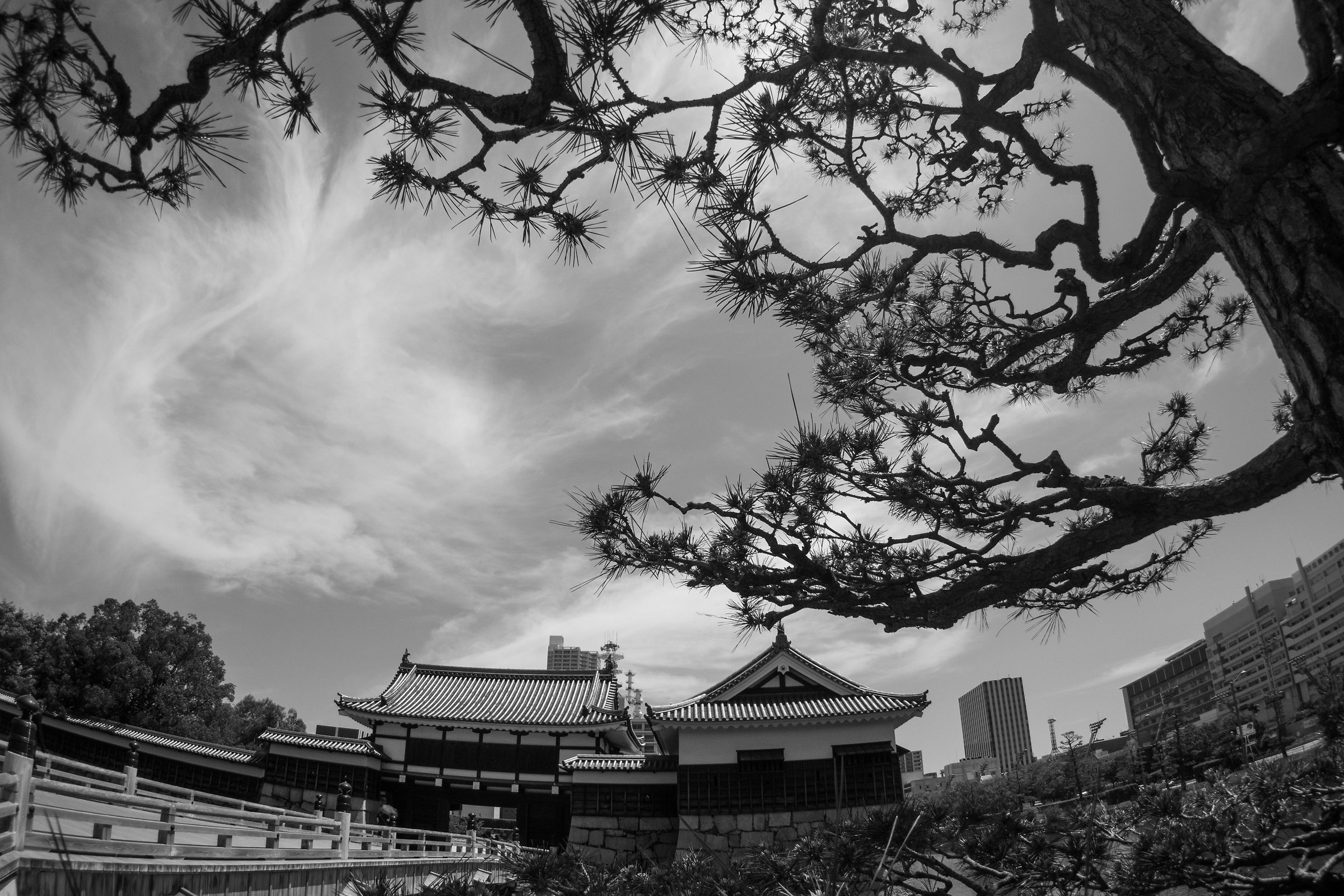 Japanese a fish-eye 2