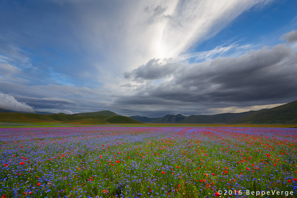 Pian Grande, Castelluccio